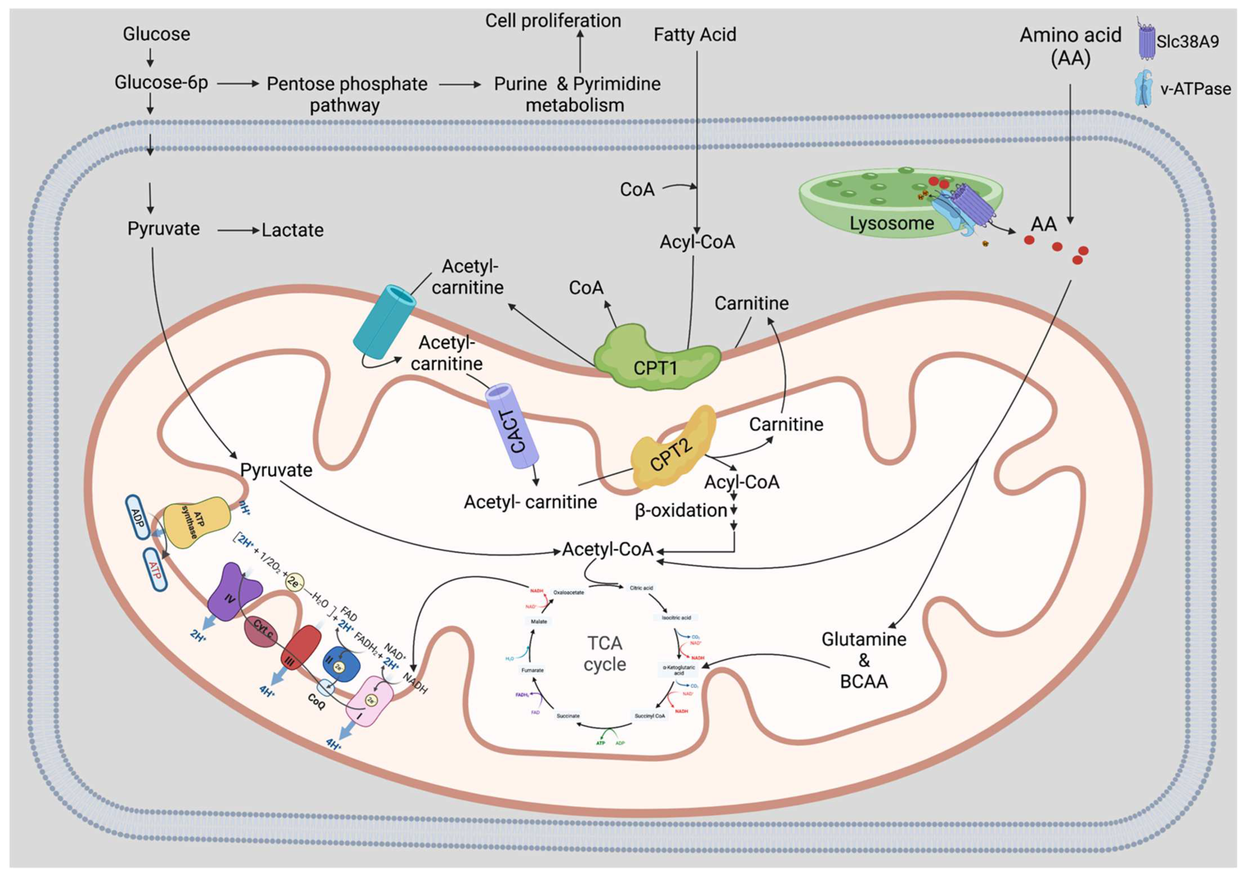 Biology 11 01410 g003