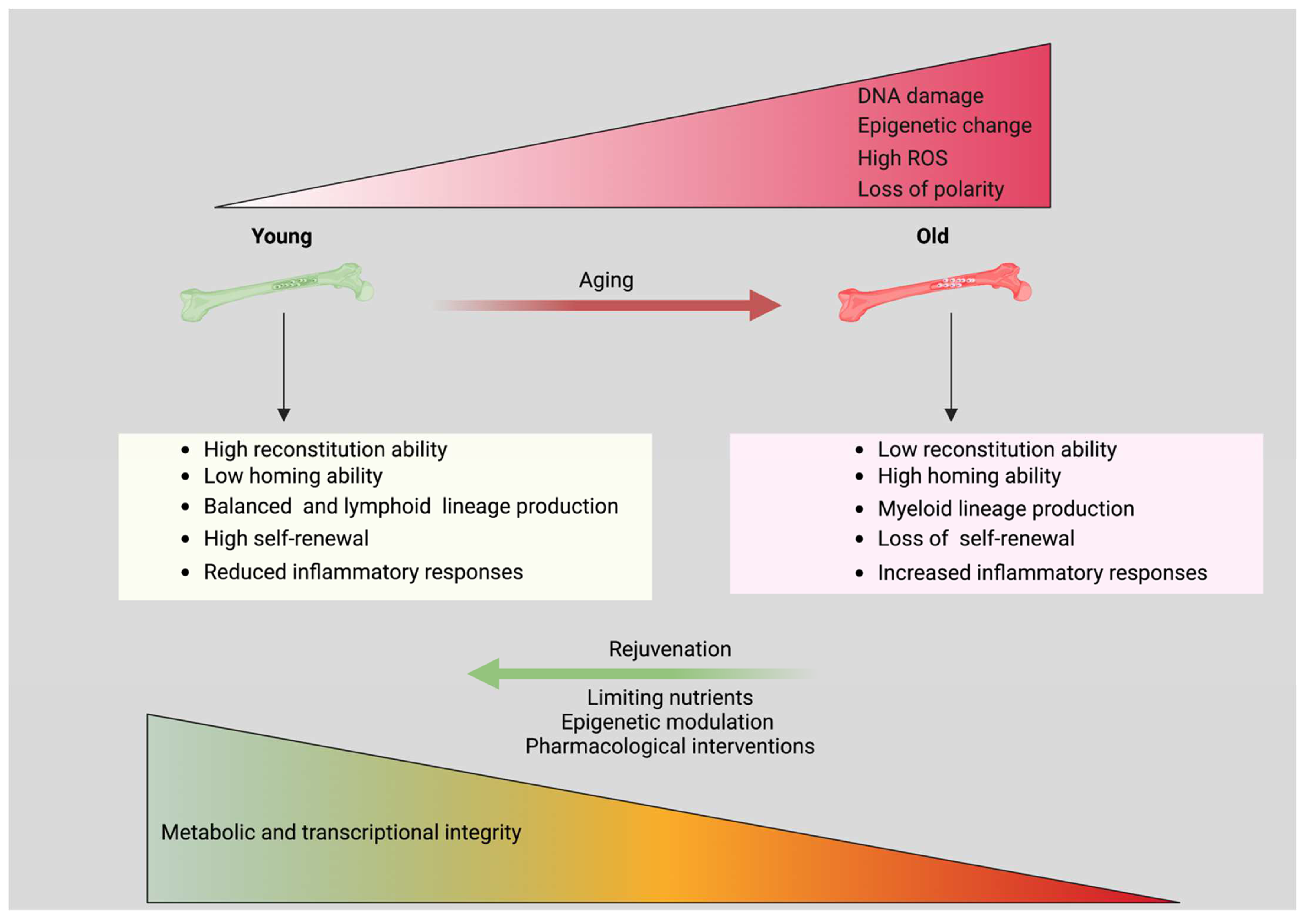 Biology 11 01410 g004
