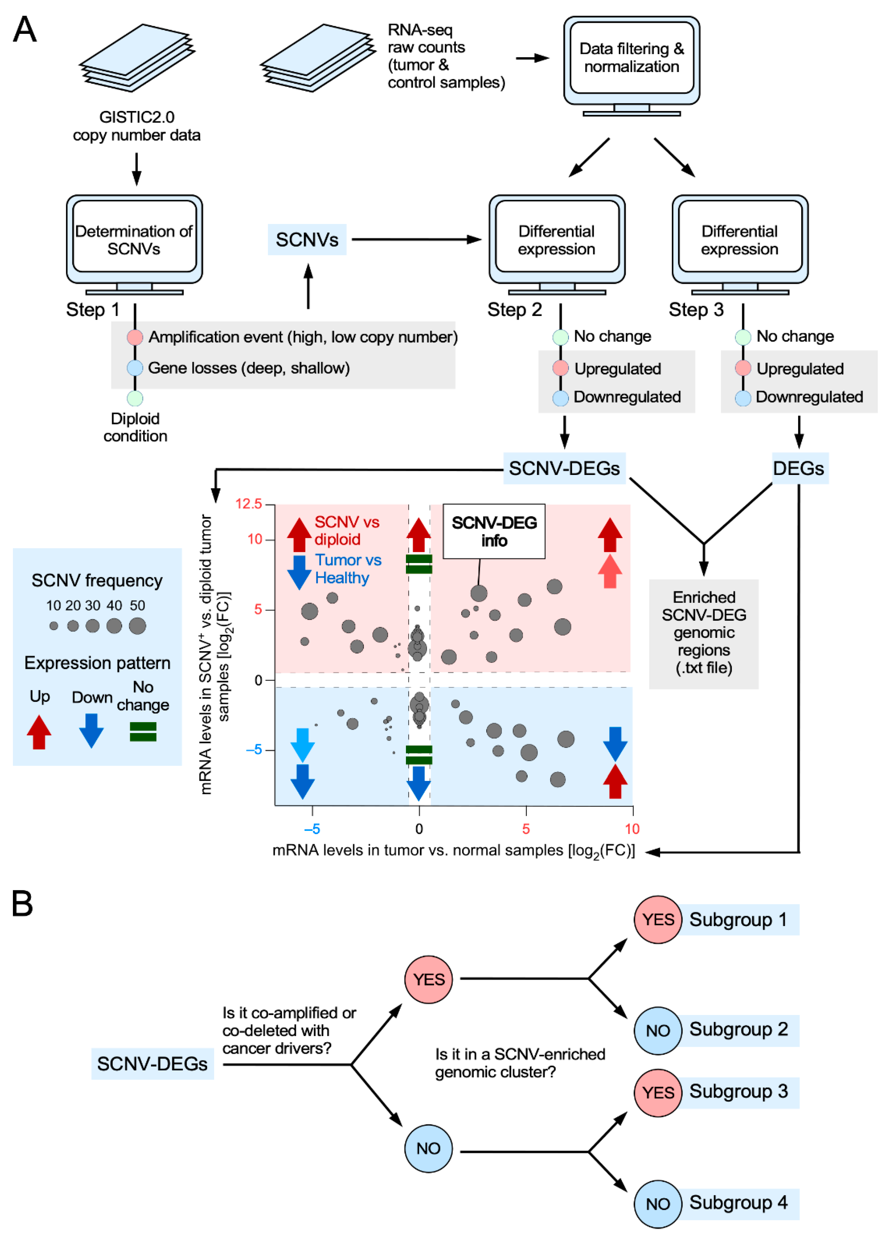 Biology 11 01411 g001