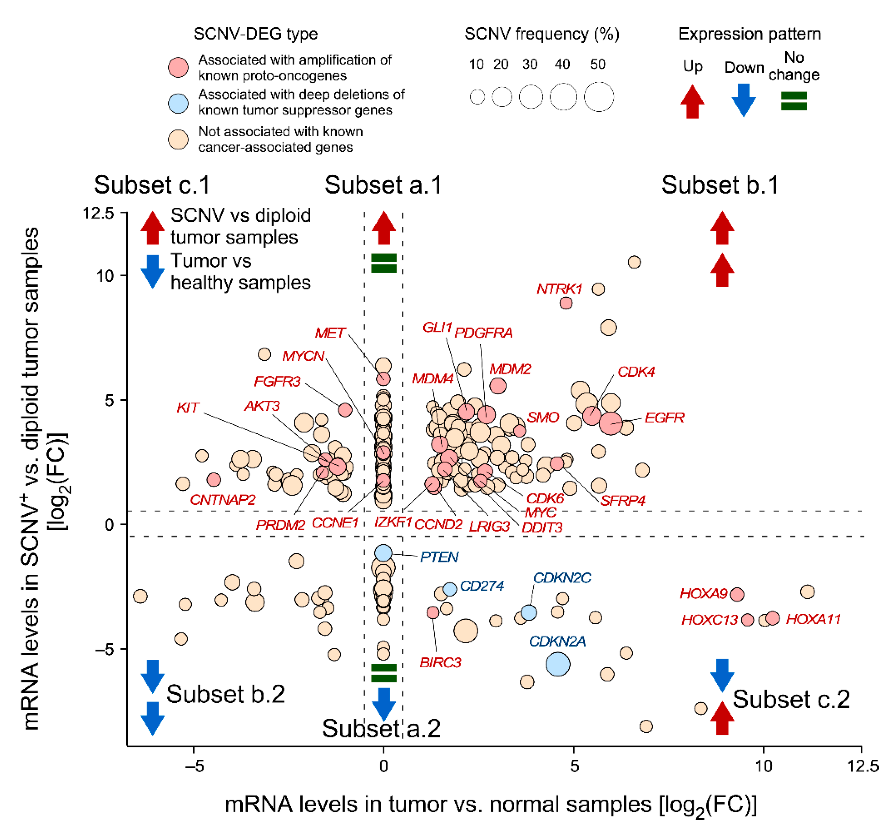 Biology 11 01411 g002