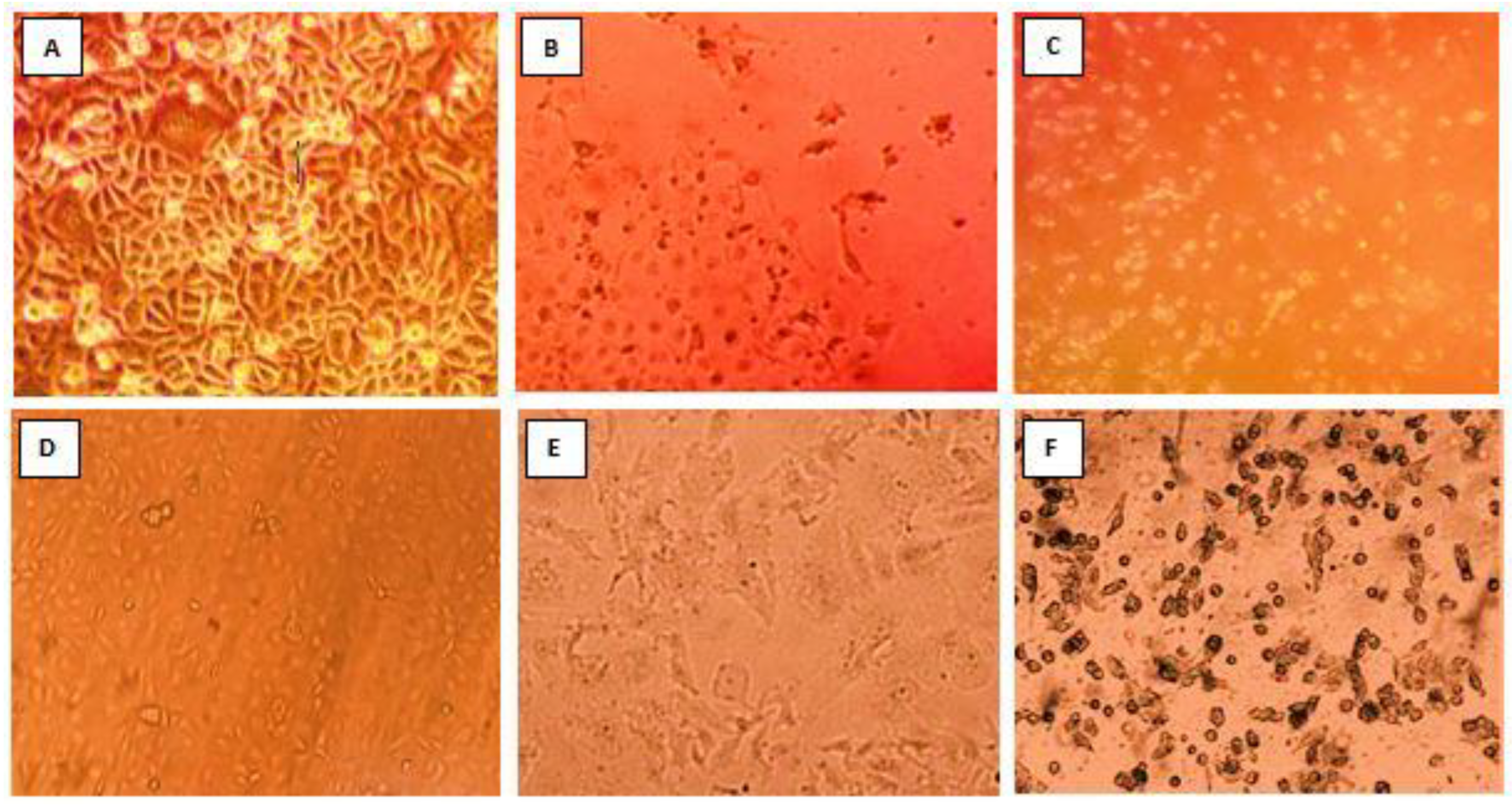 Biology 11 01413 g002