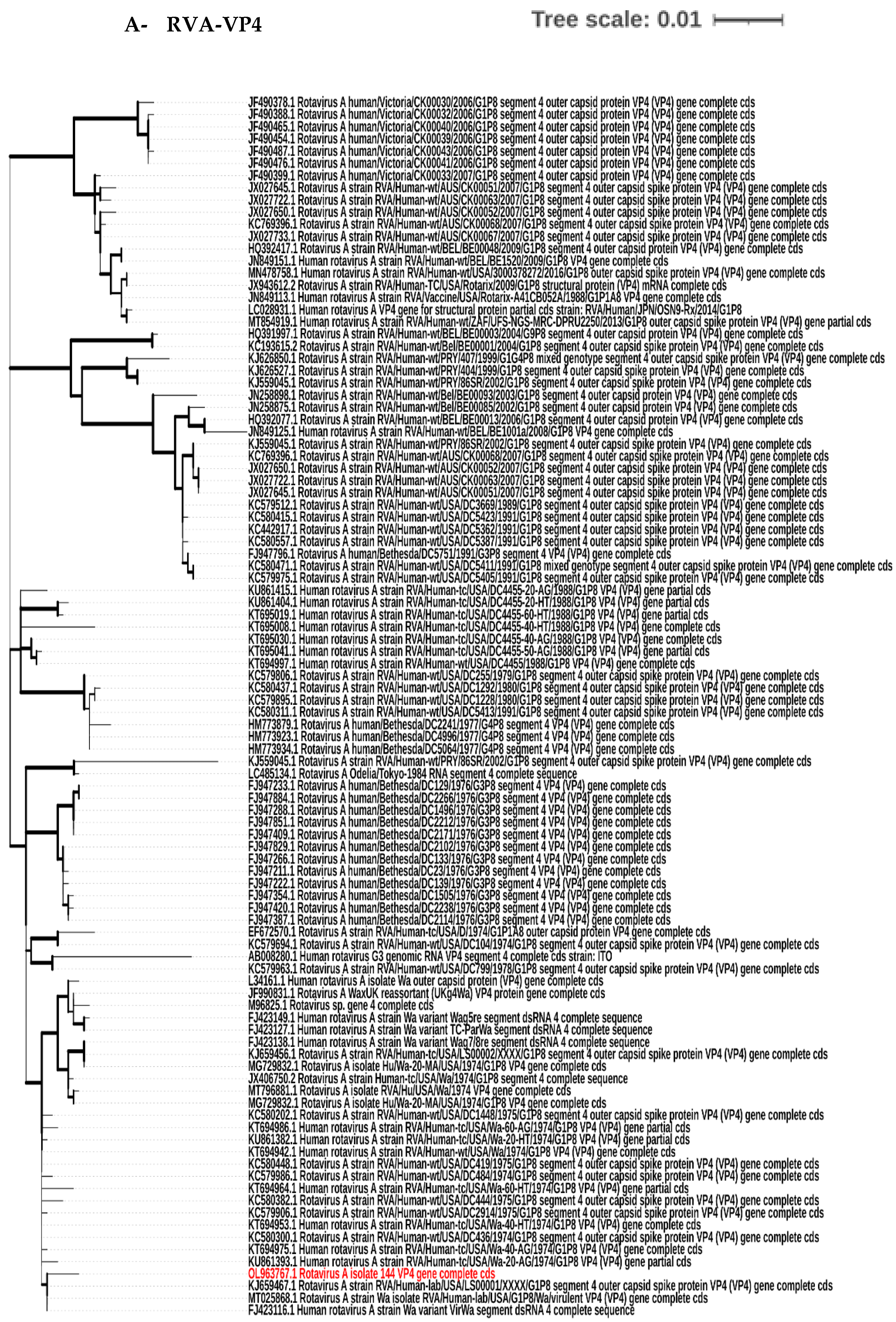 Biology 11 01413 g003a