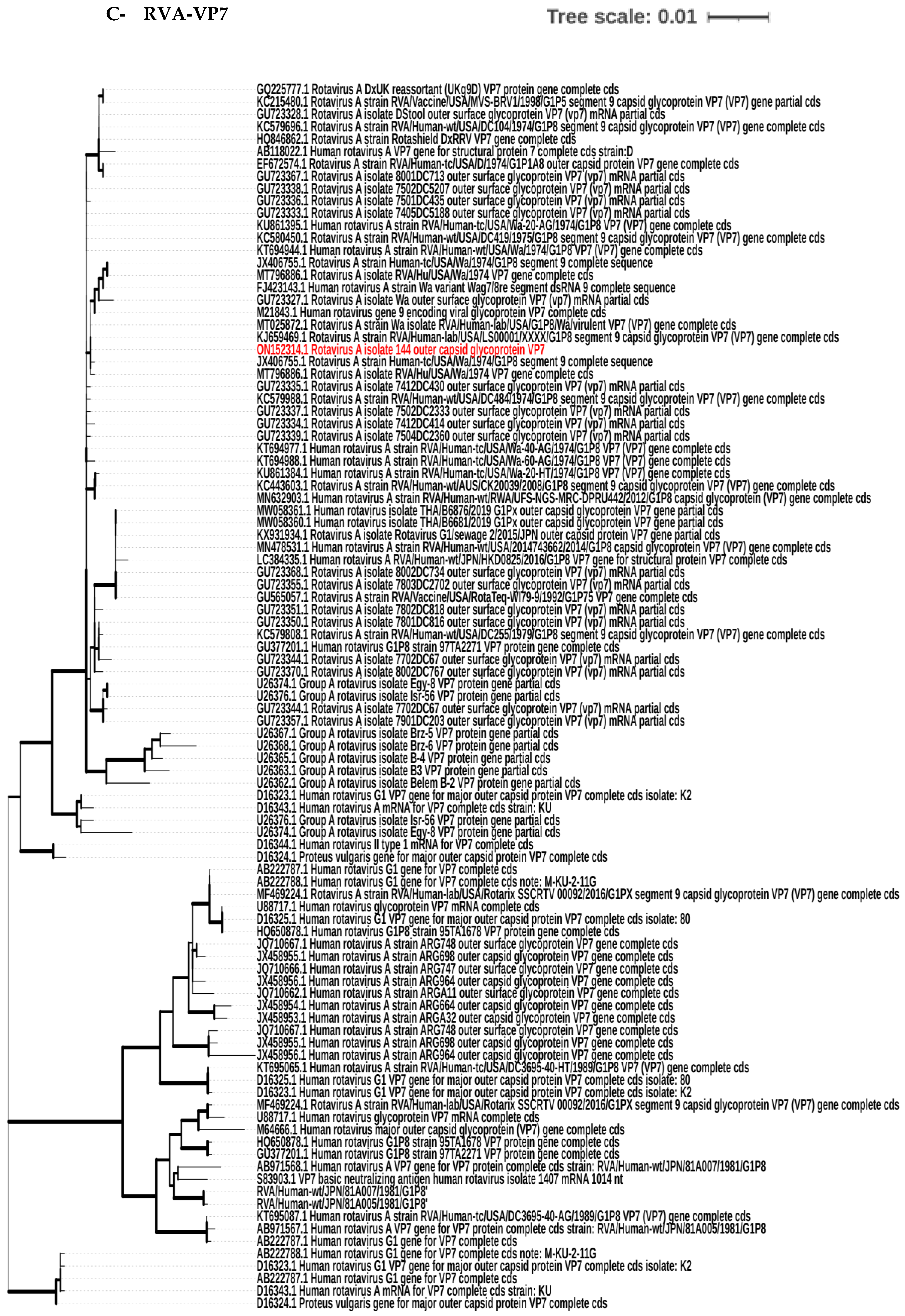 Biology 11 01413 g003c