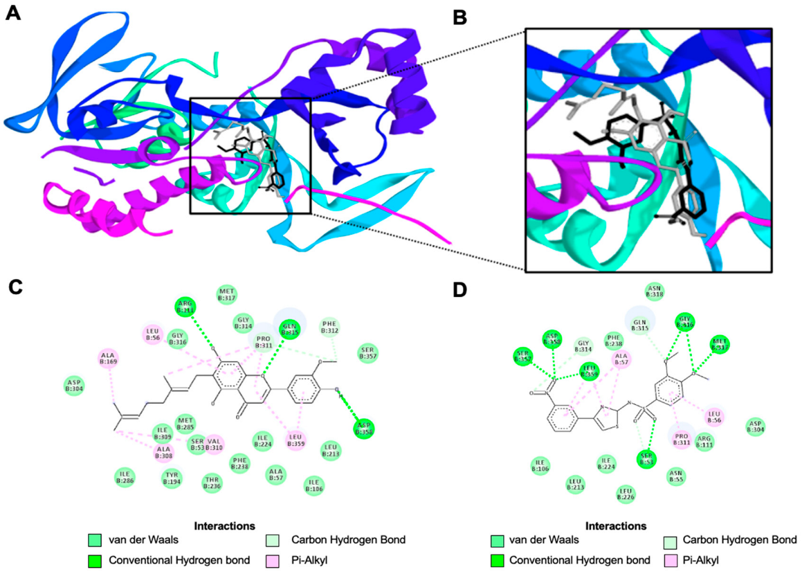 Biology 11 01416 g004