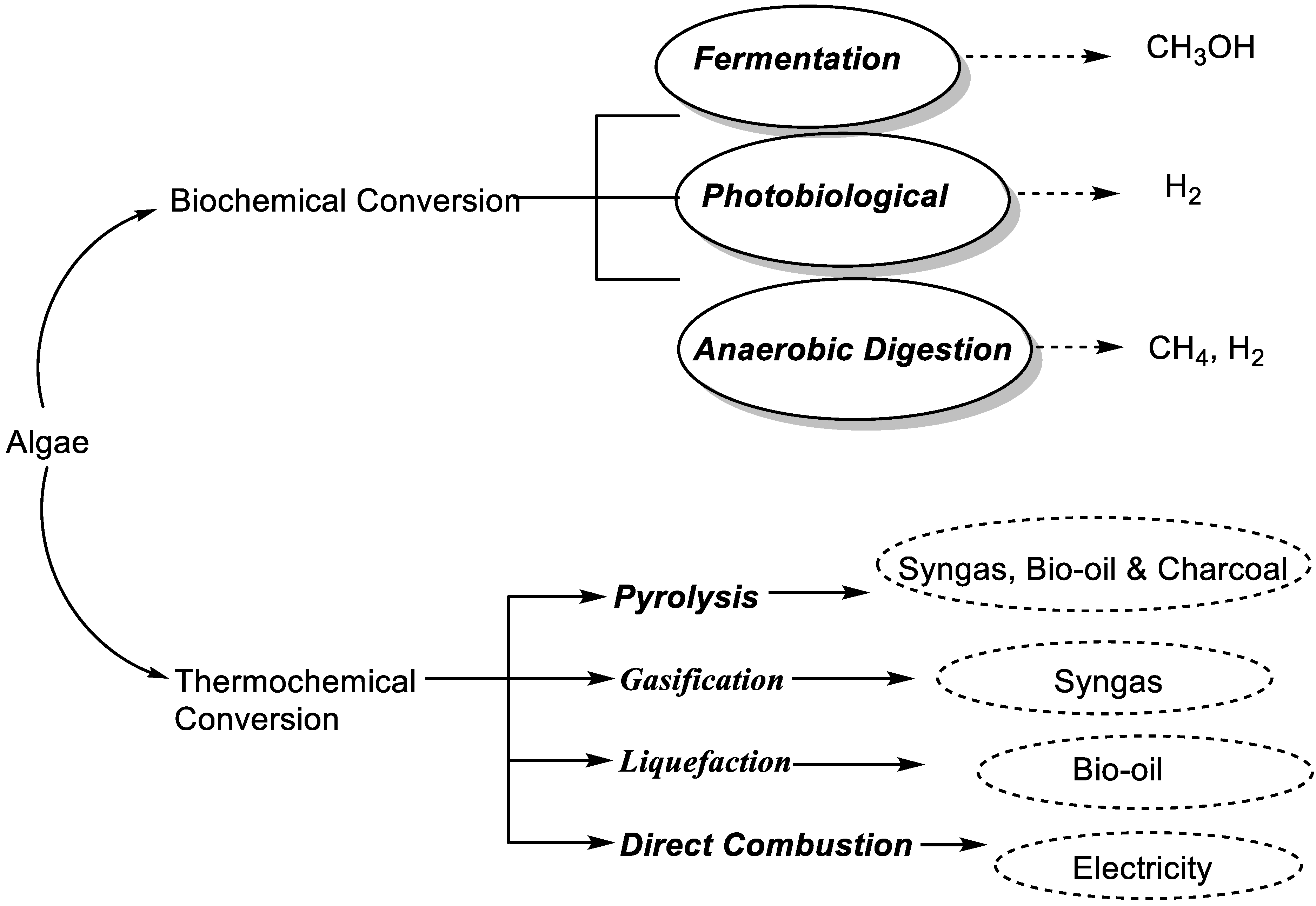Biology 11 01418 g001