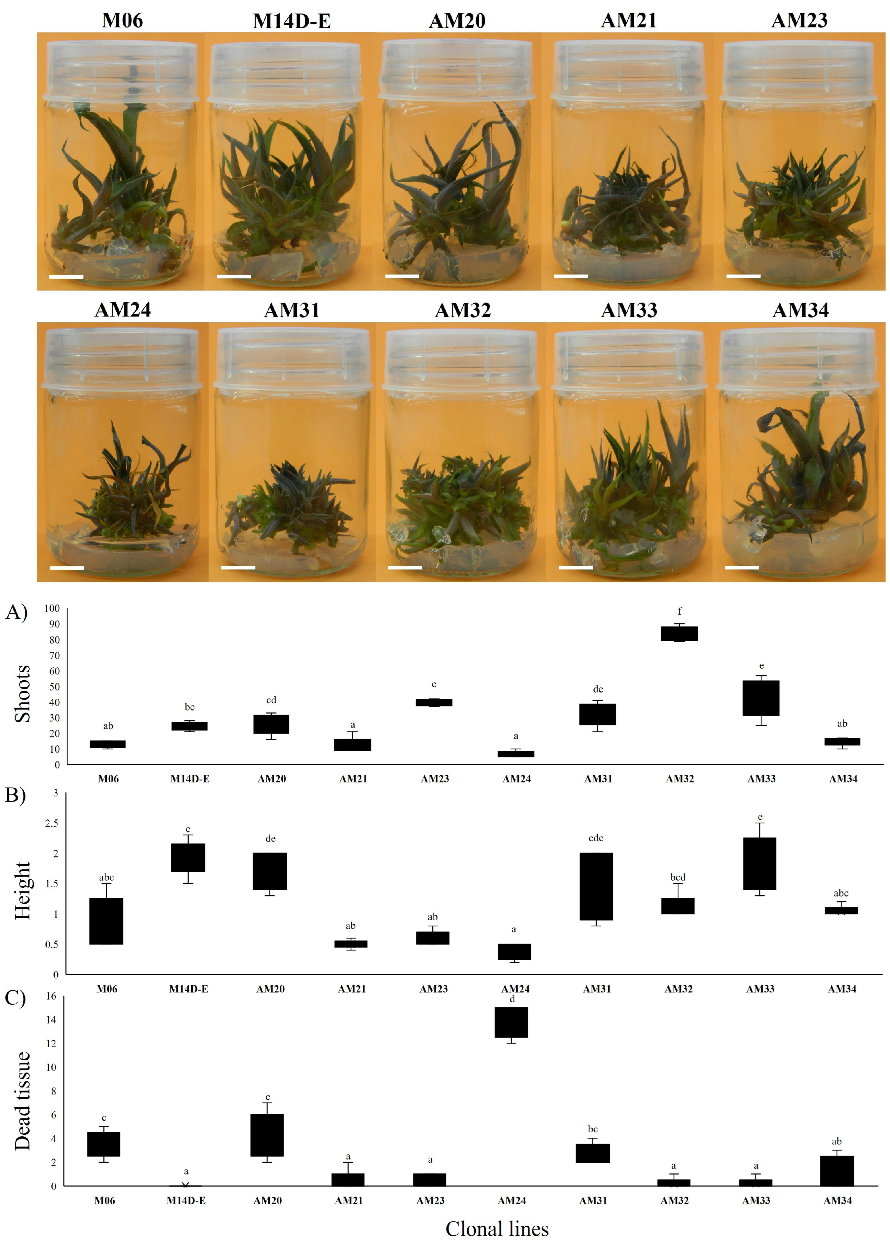Biology 11 01423 g003