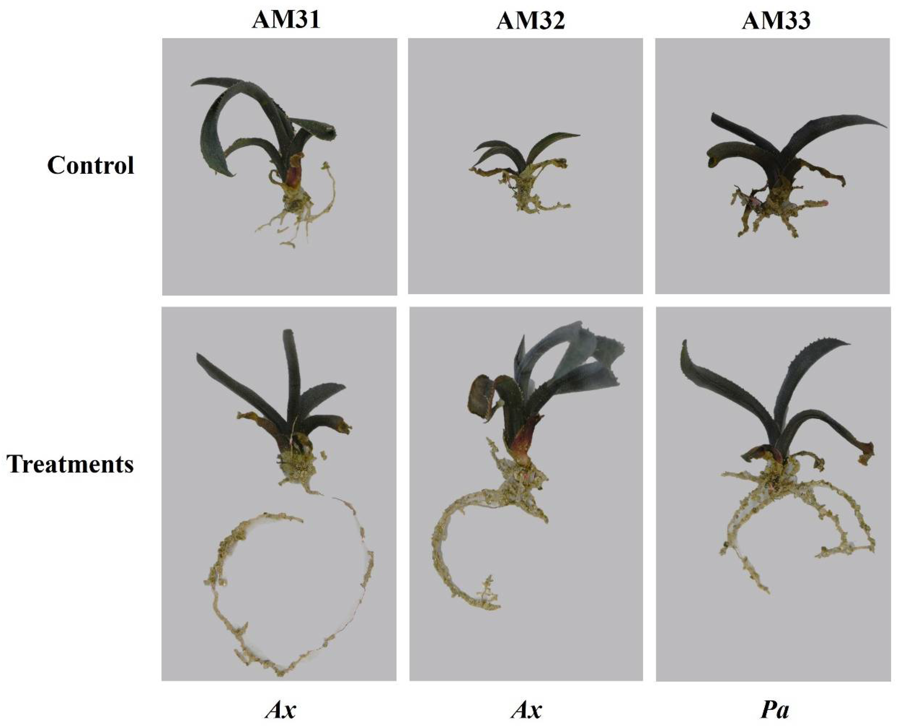 Biology 11 01423 g006