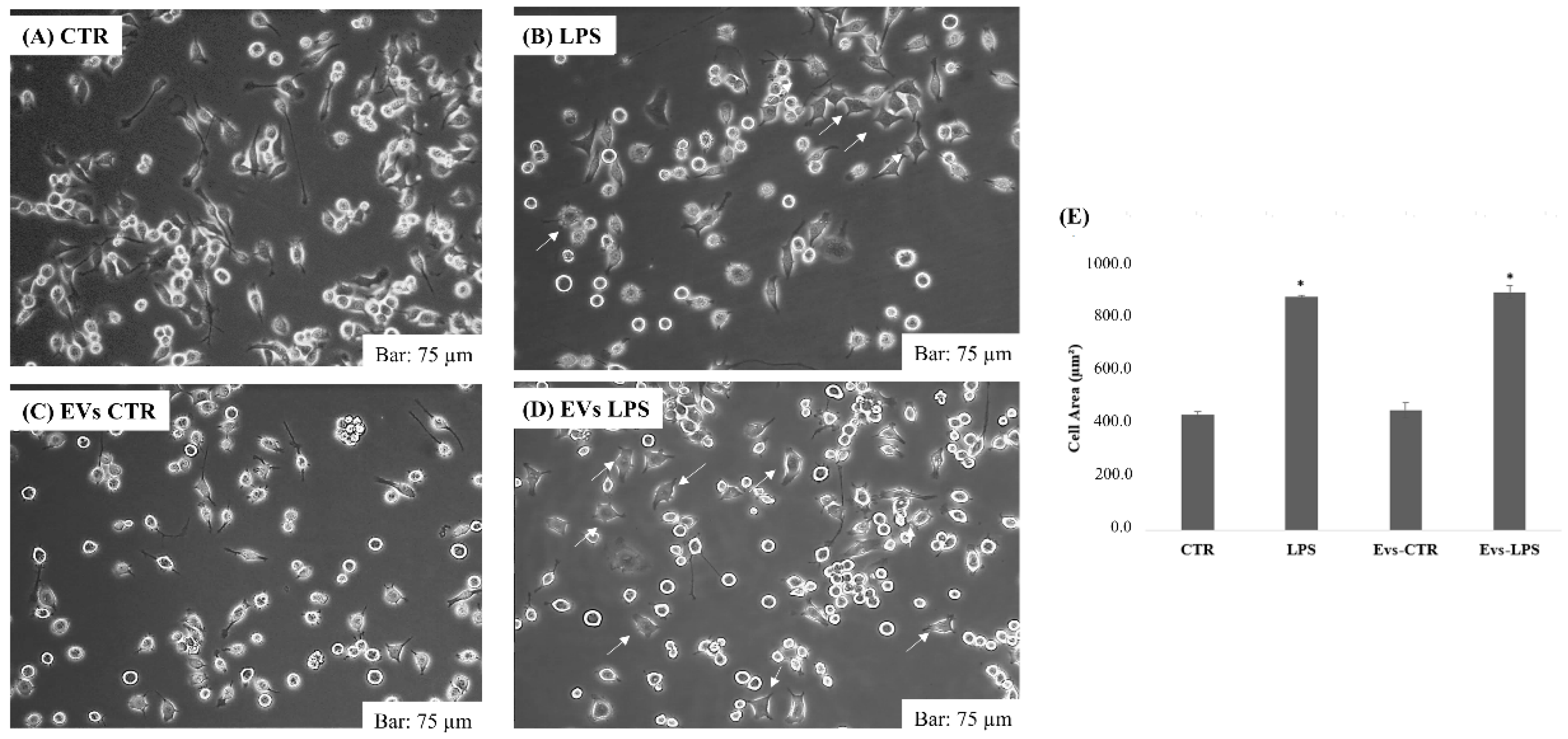 Biology 11 01426 g002 Biology 11 01426 g002
