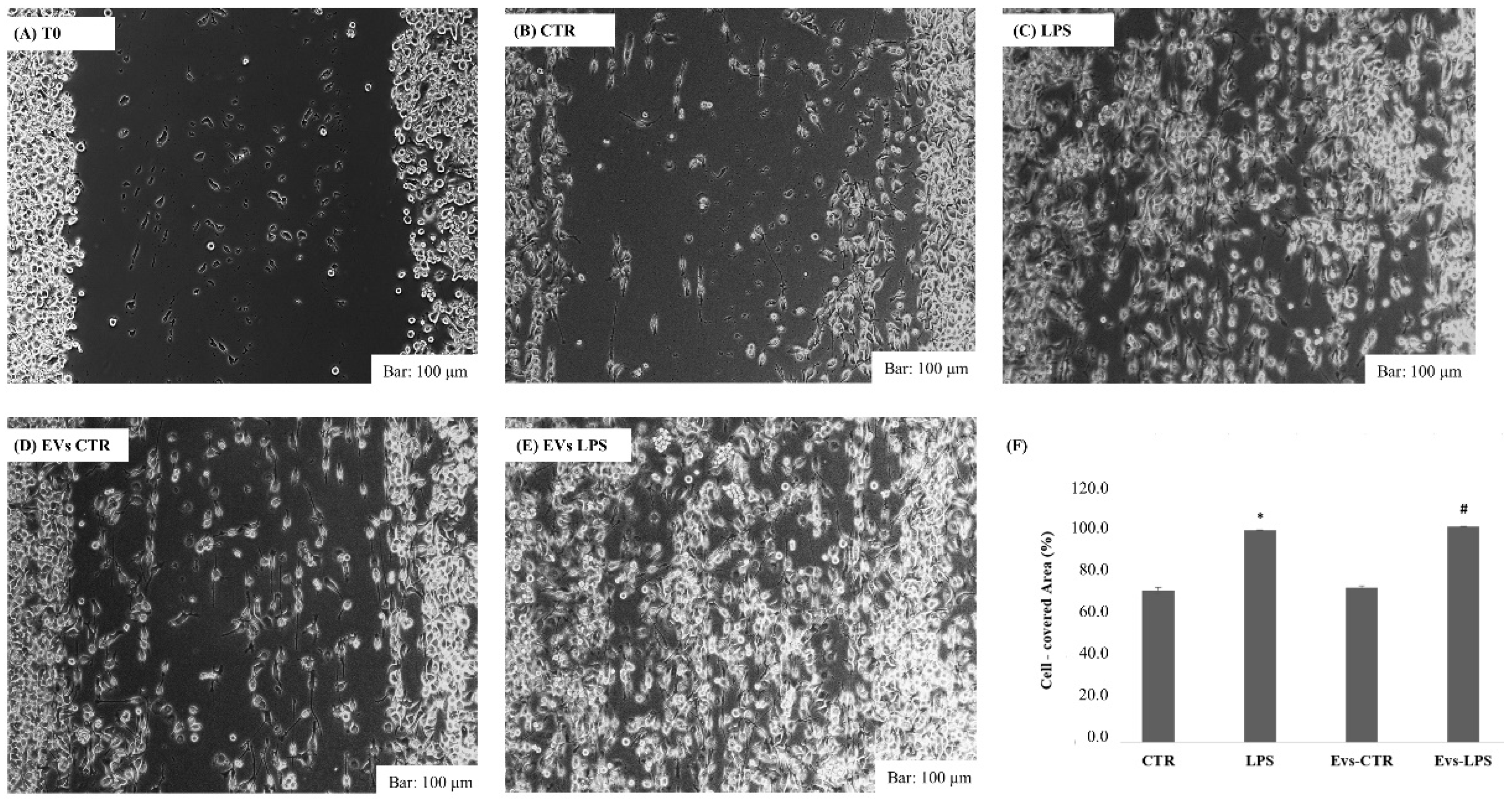 Biology 11 01426 g003 Biology 11 01426 g003