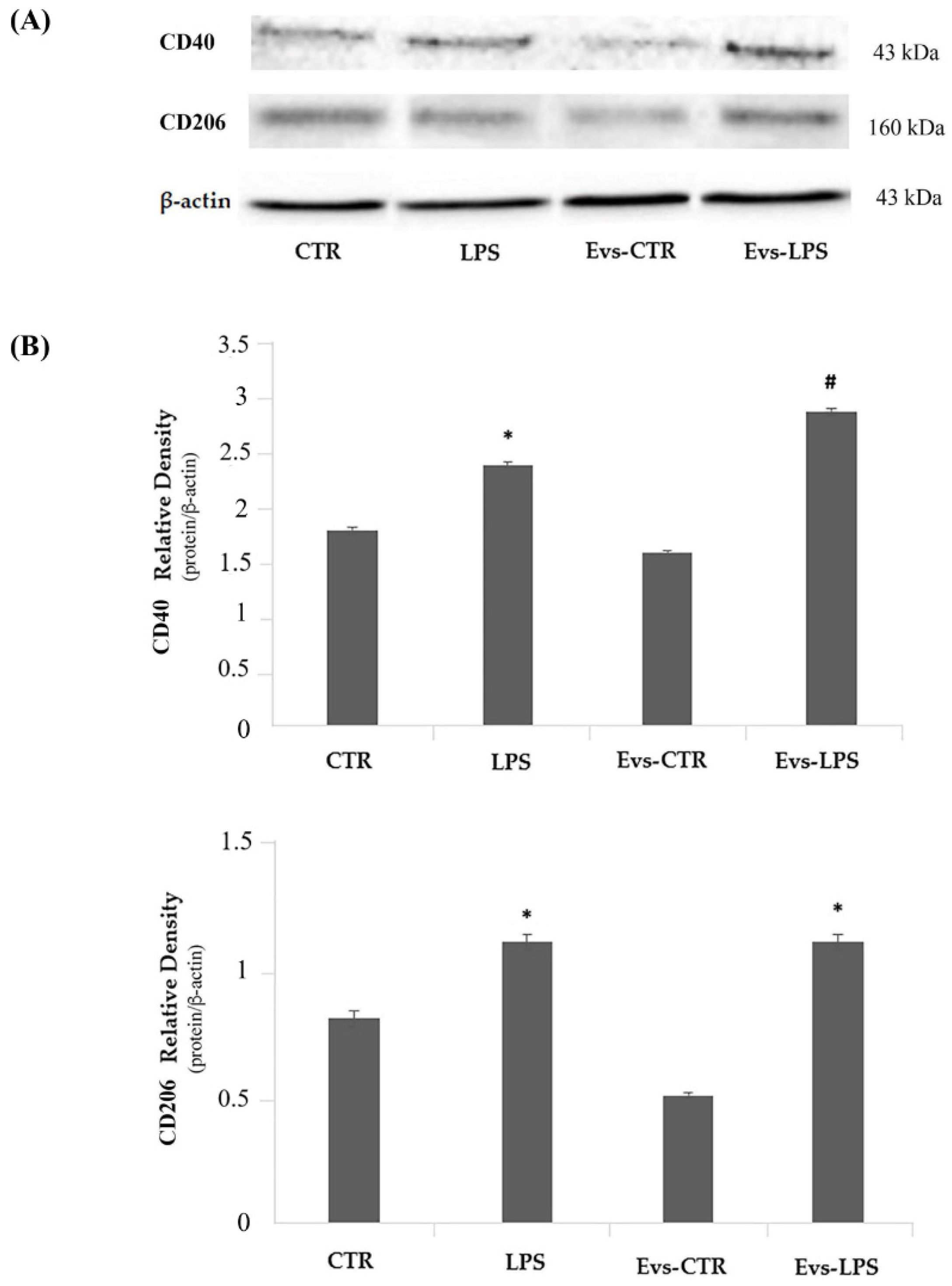 Biology 11 01426 g007 Biology 11 01426 g007