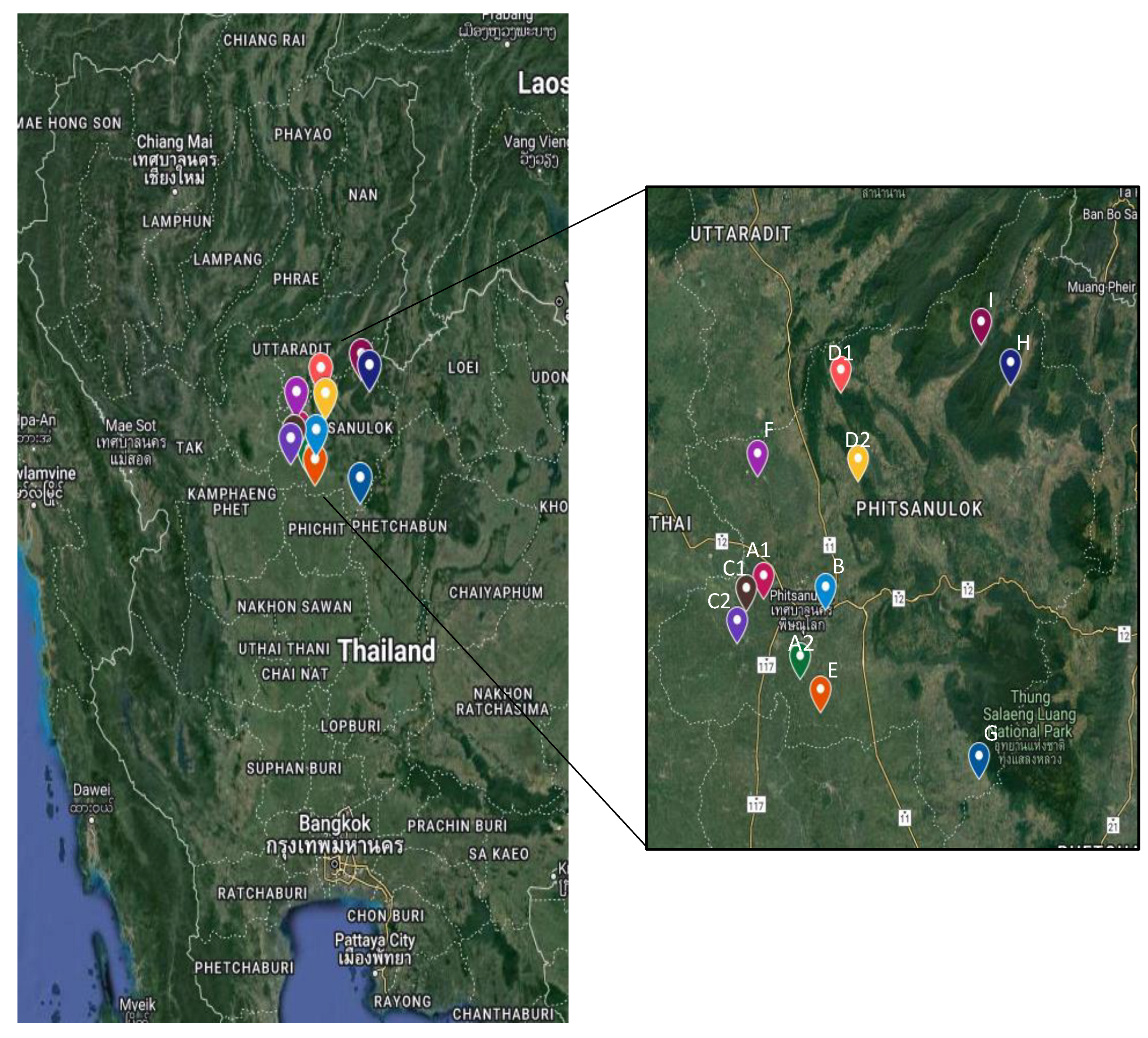 Biology 11 01429 g001