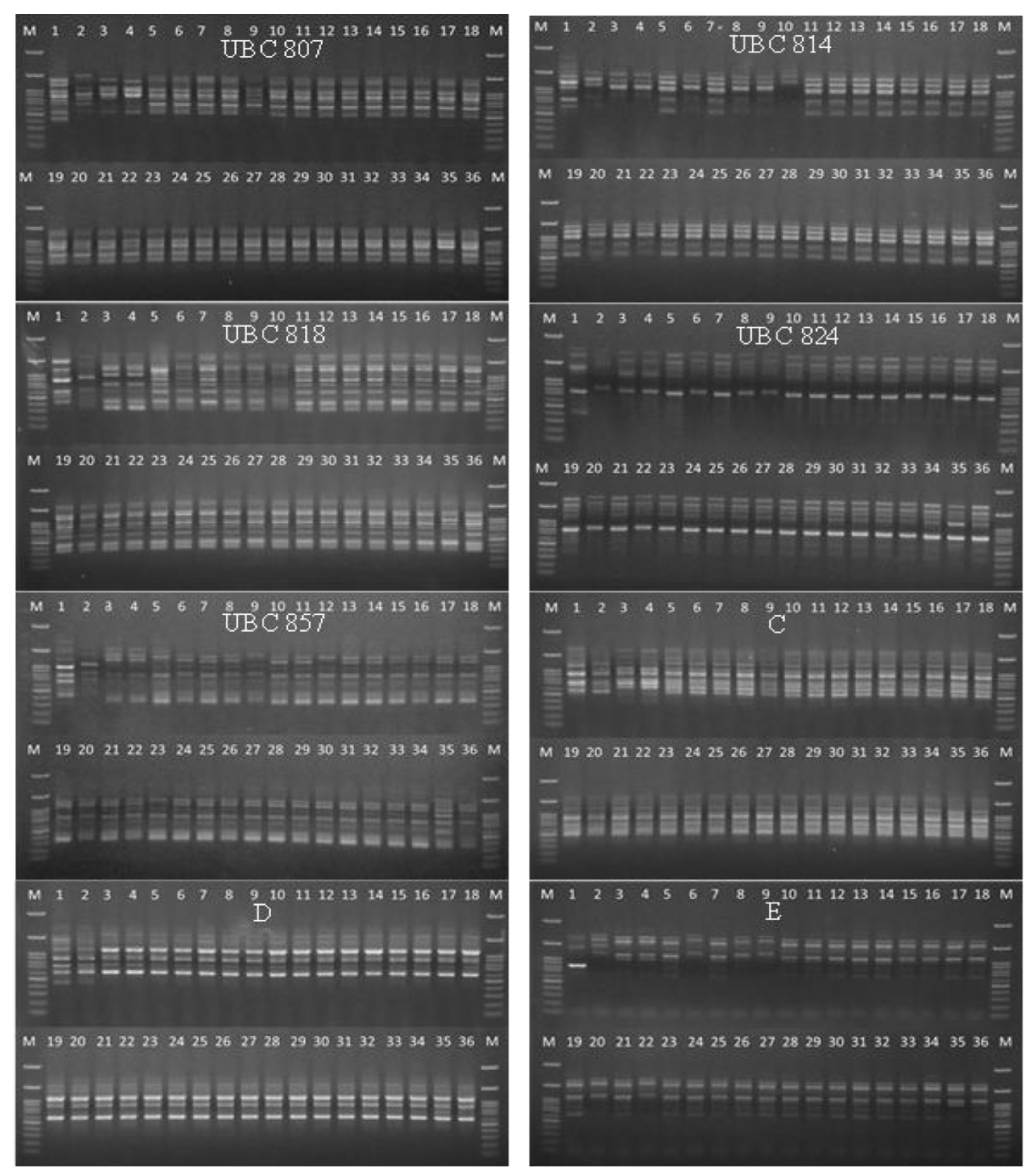 Biology 11 01429 g003