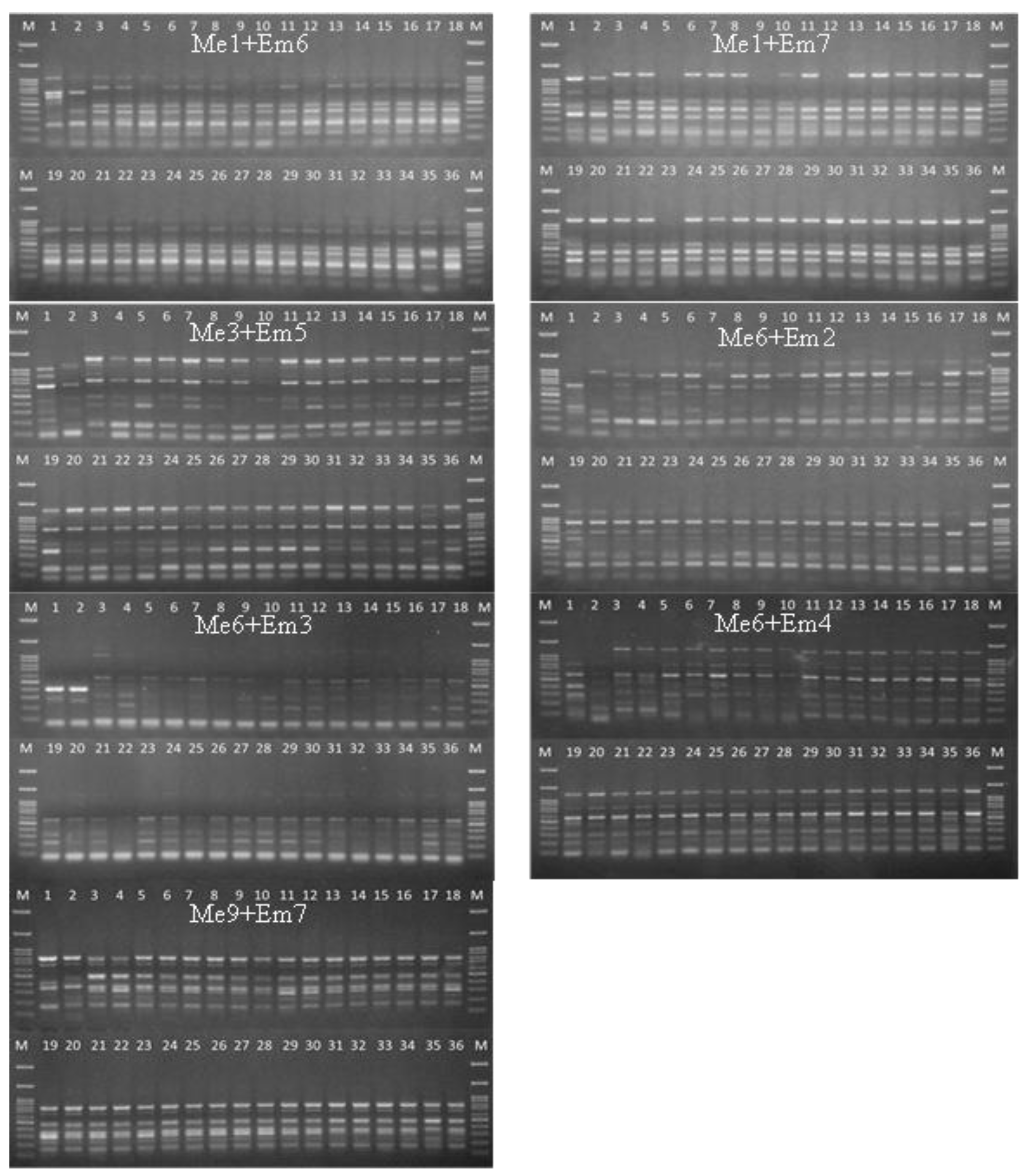 Biology 11 01429 g004