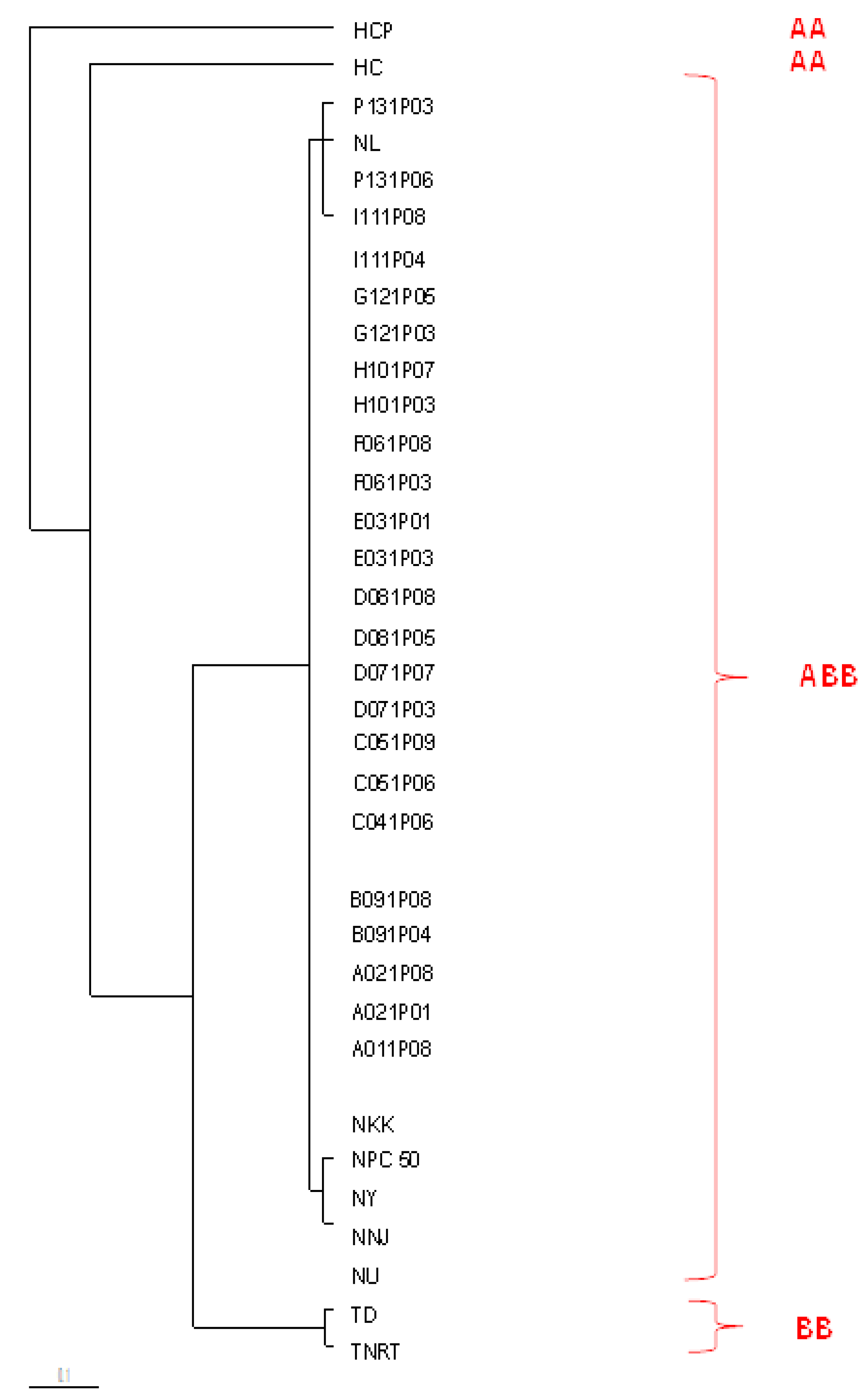 Biology 11 01429 g005