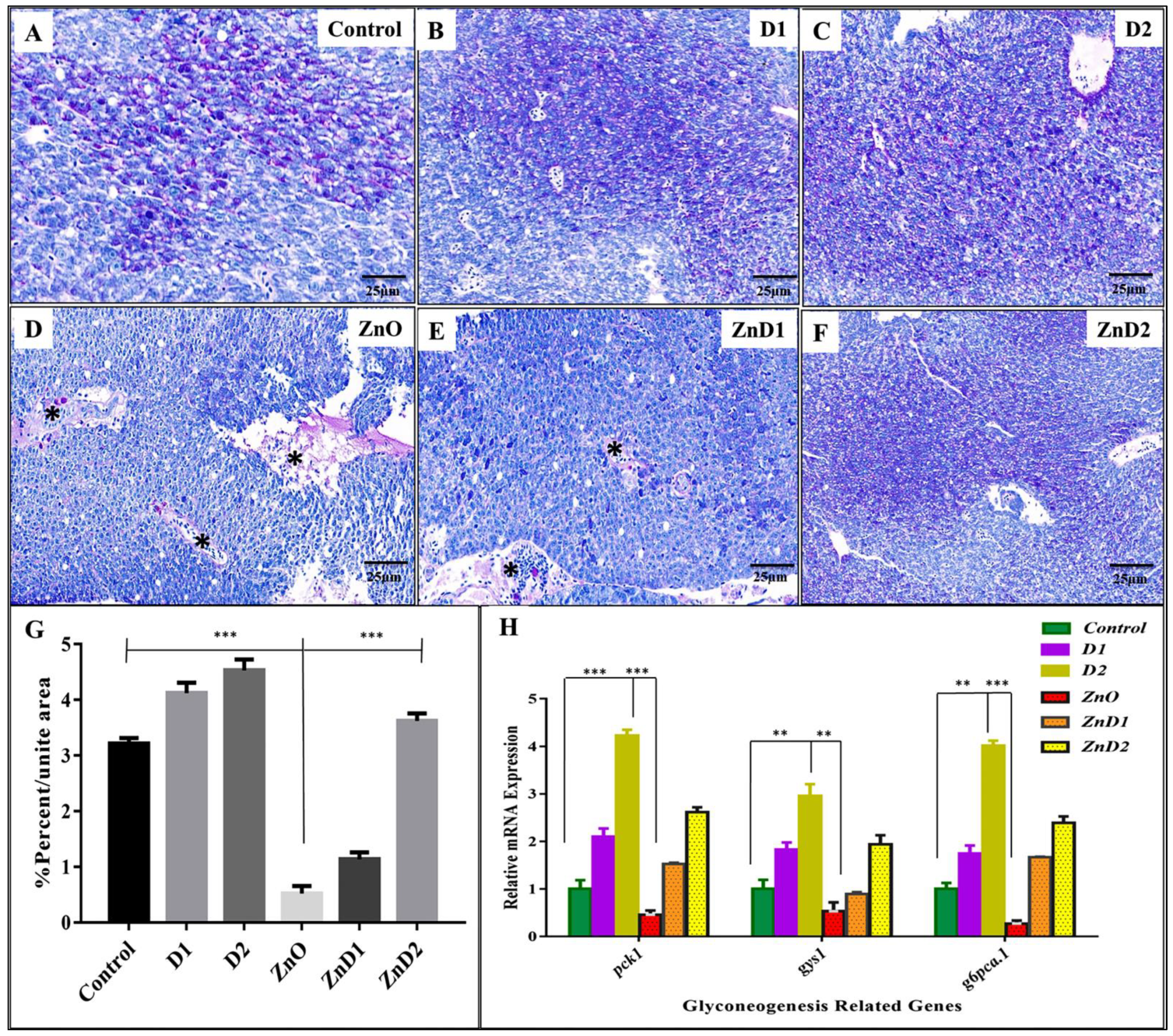 Biology 11 01447 g005 Biology 11 01447 g005