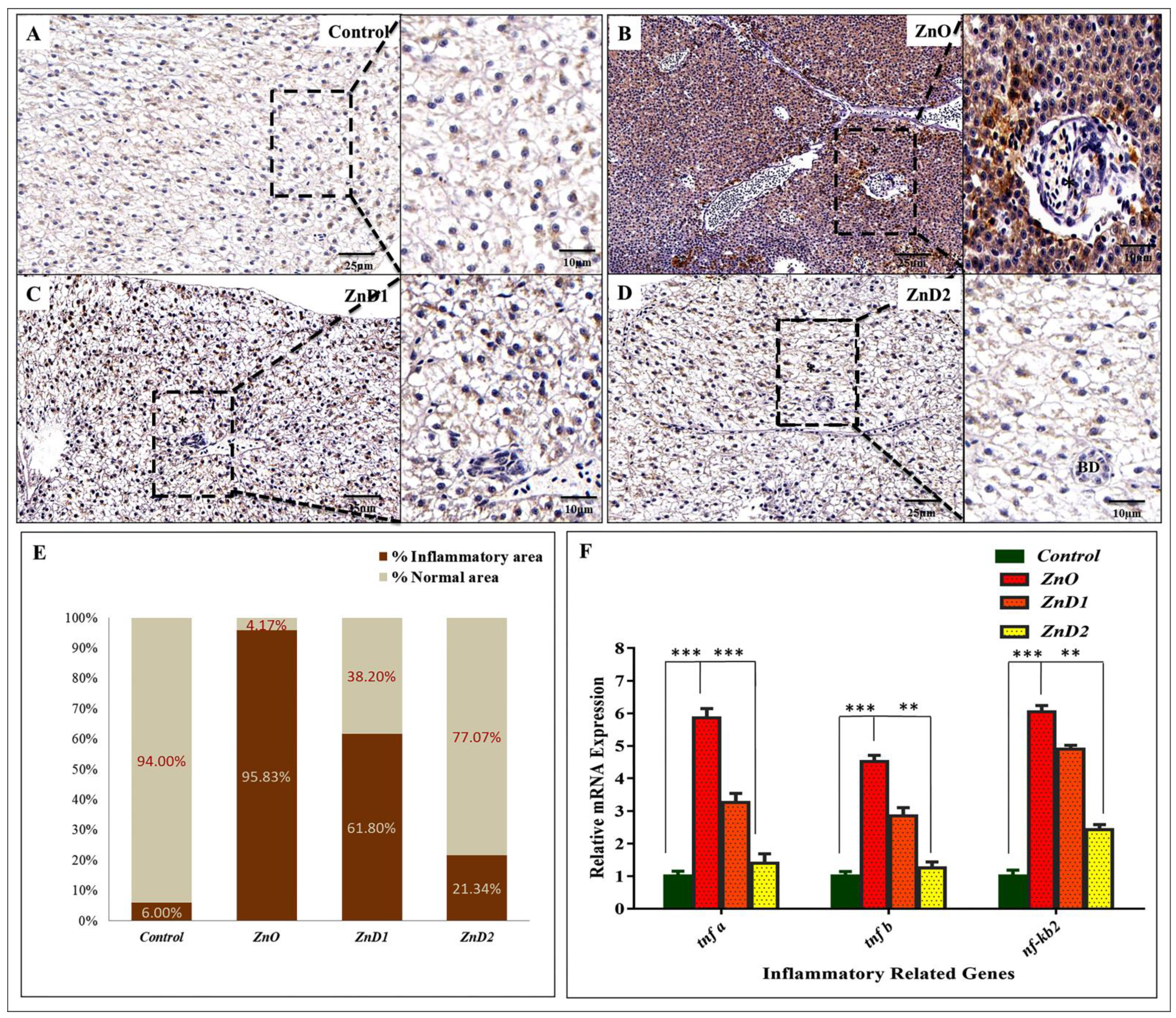 Biology 11 01447 g007 Biology 11 01447 g007