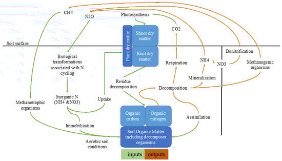 Biology 11 01453 g002