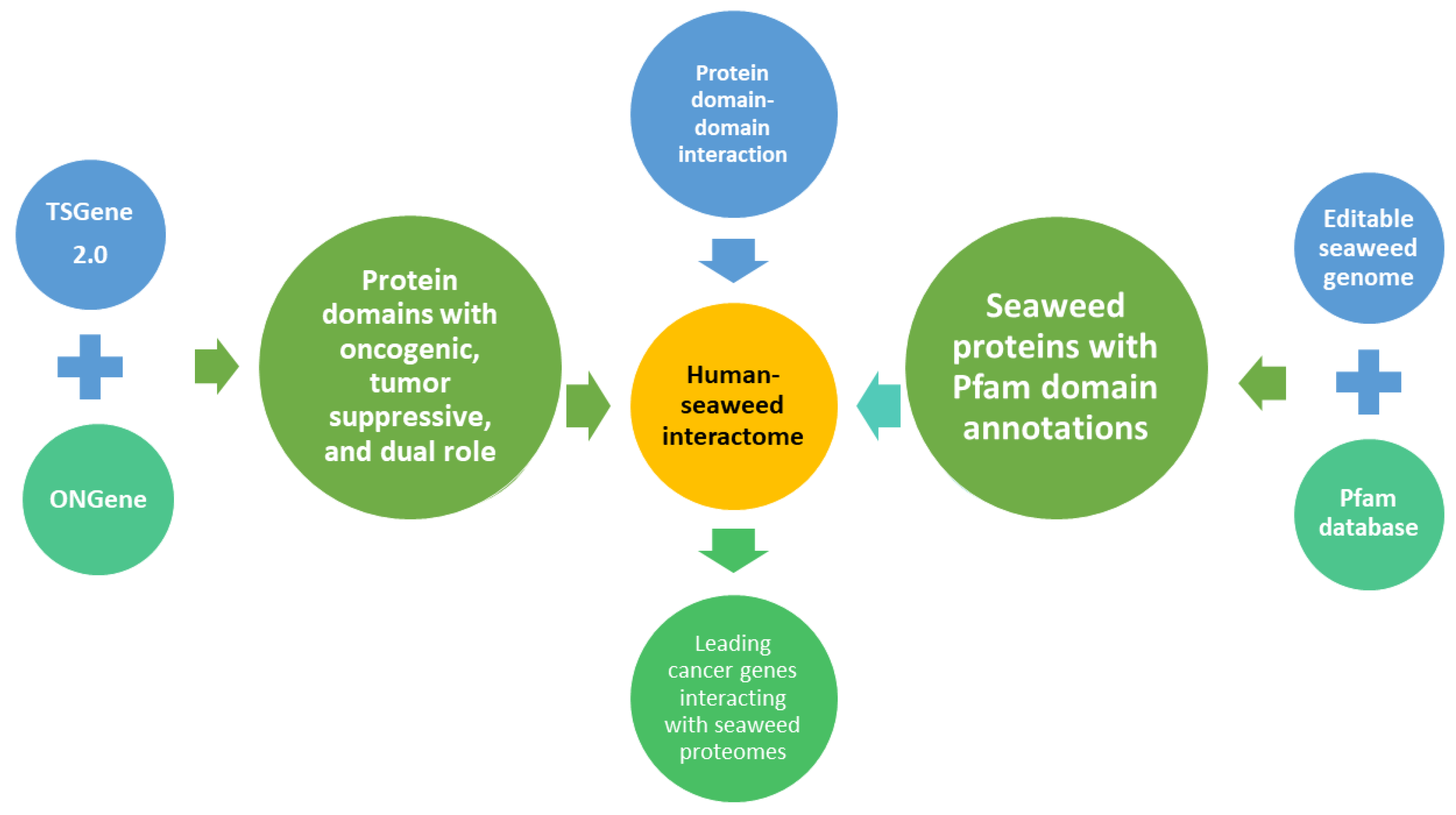 Biology 11 01458 g001