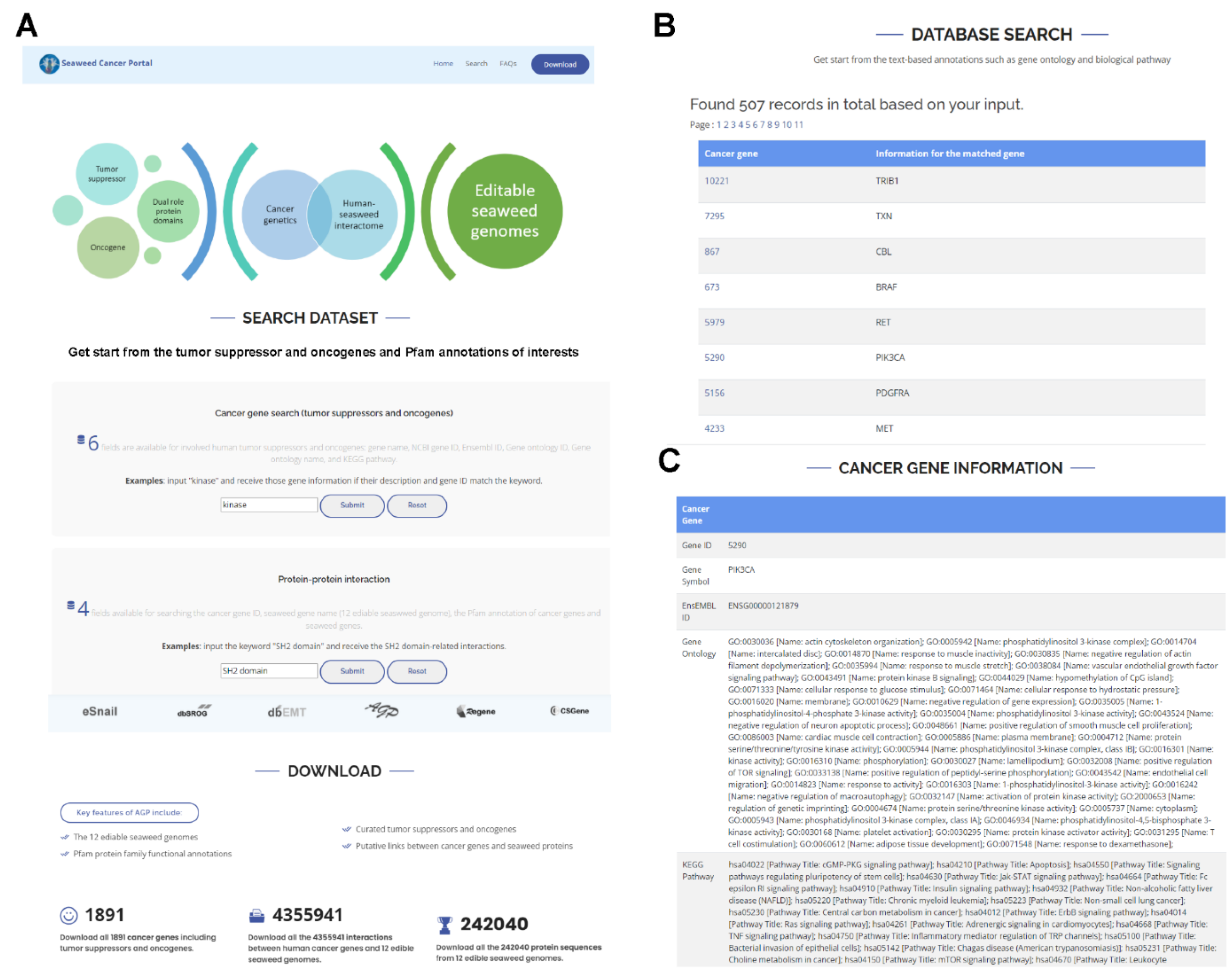 Biology 11 01458 g002