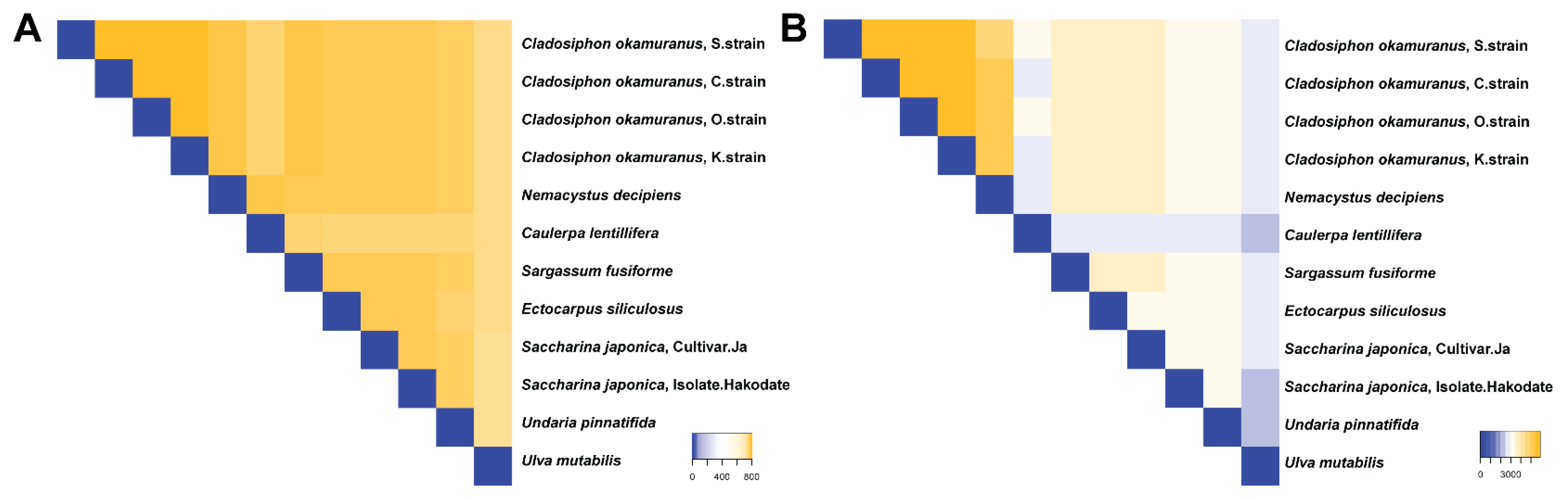 Biology 11 01458 g004