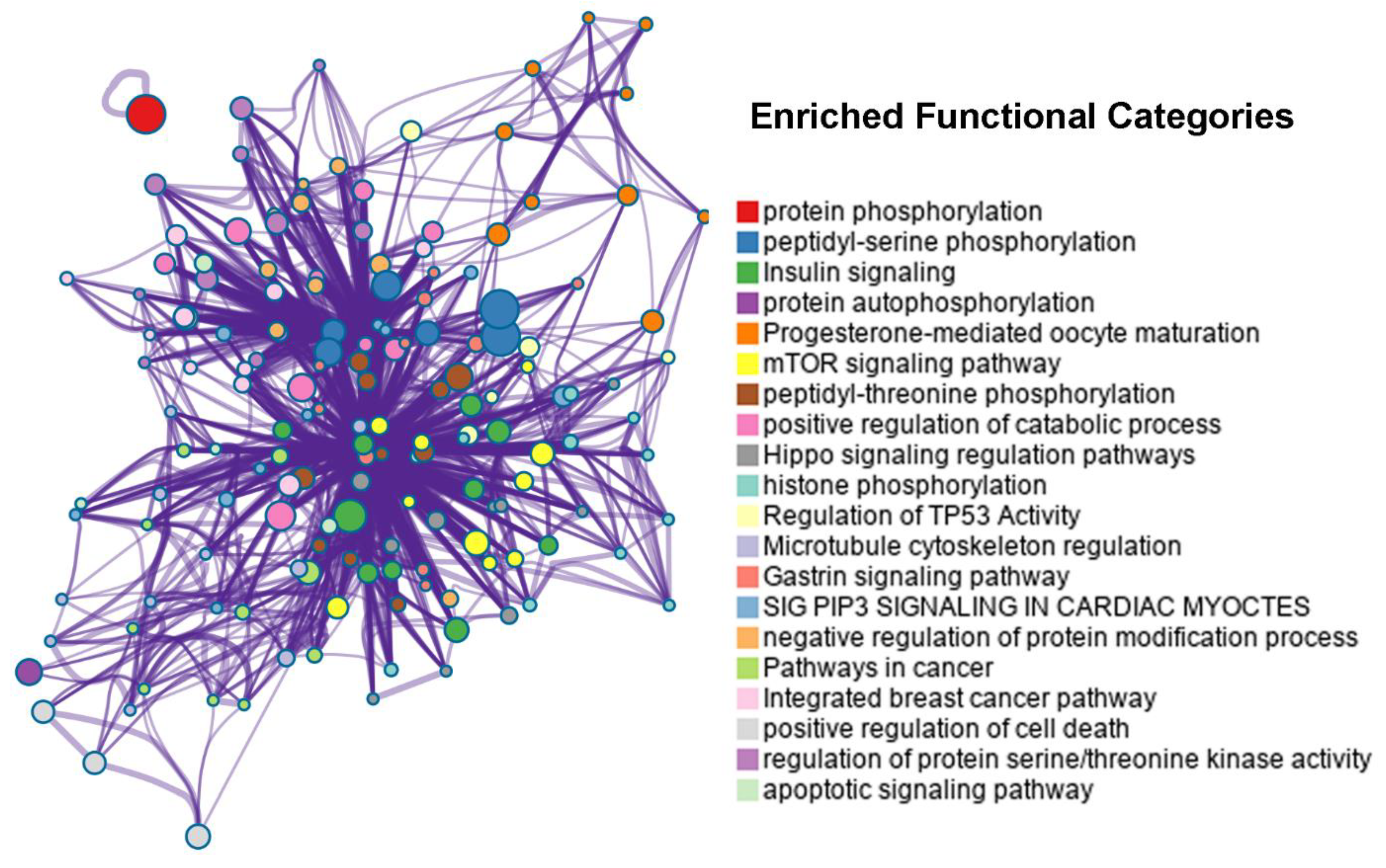 Biology 11 01458 g006