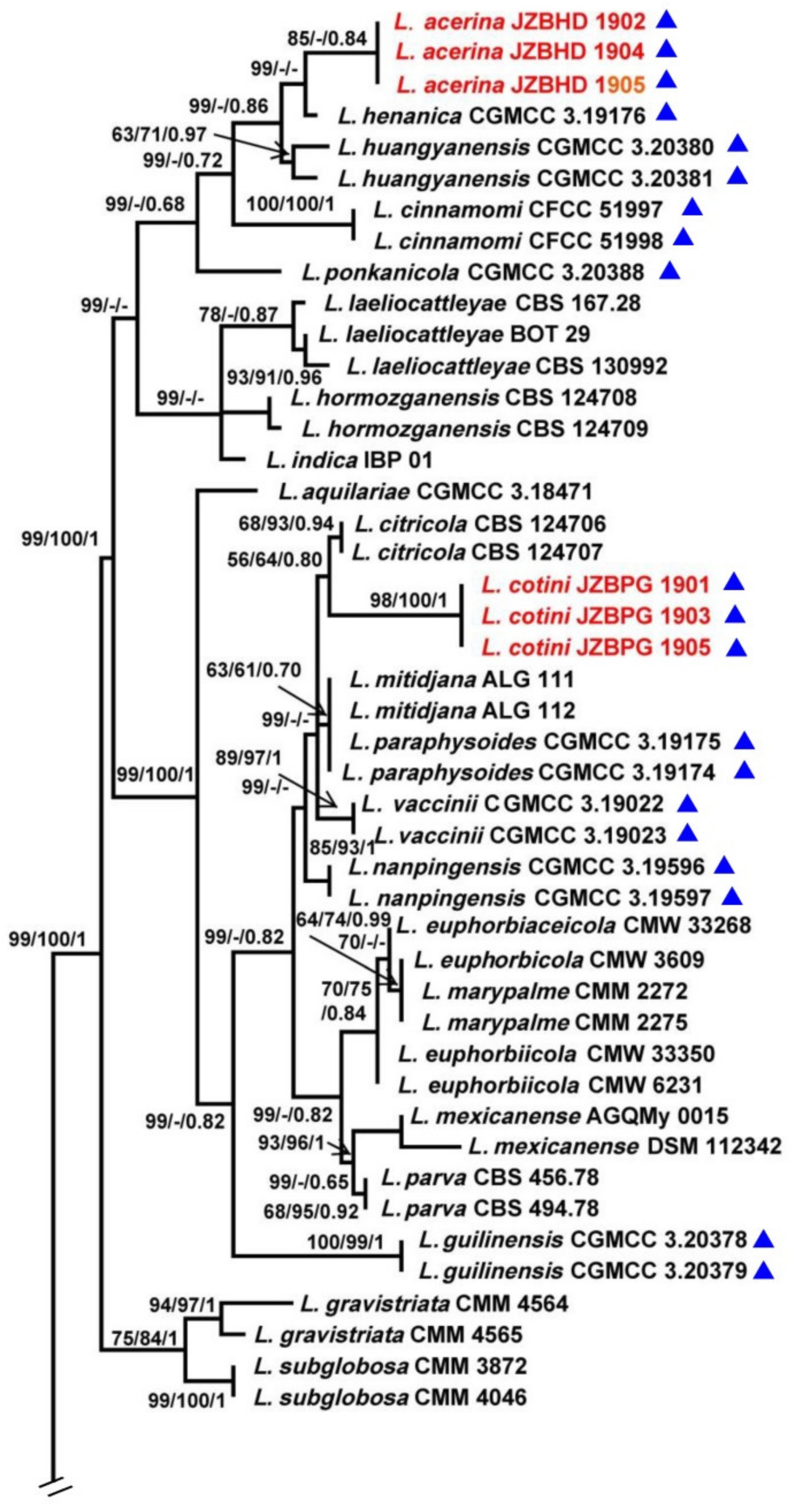 Biology 11 01459 g001a