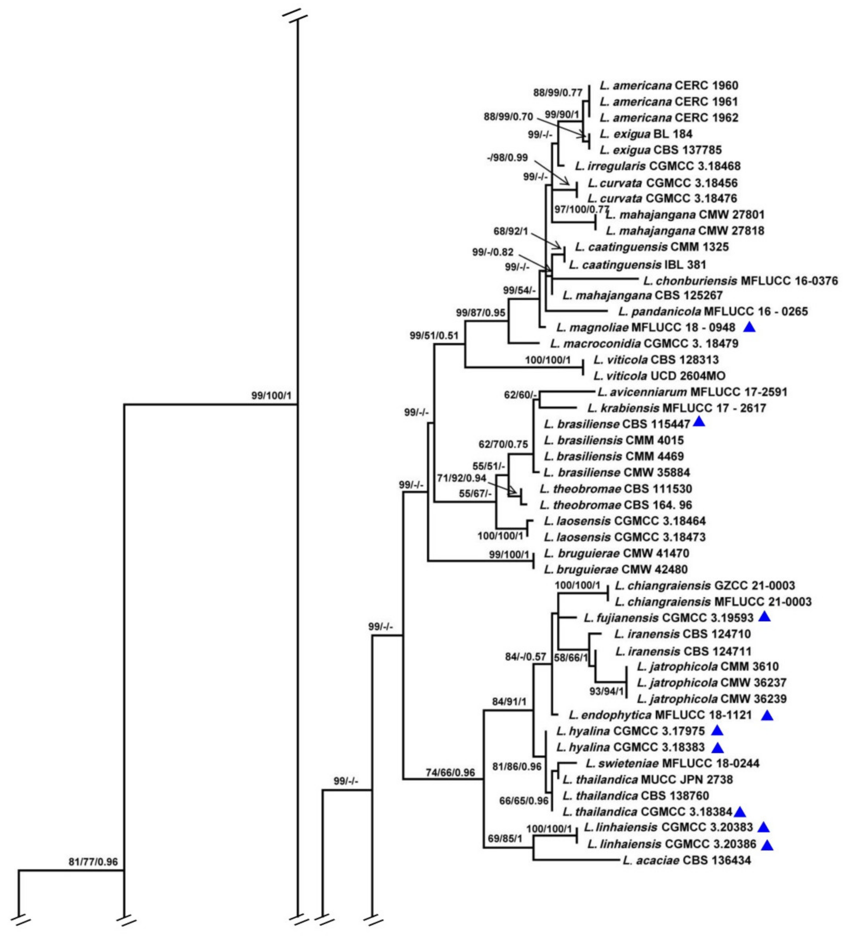Biology 11 01459 g001b