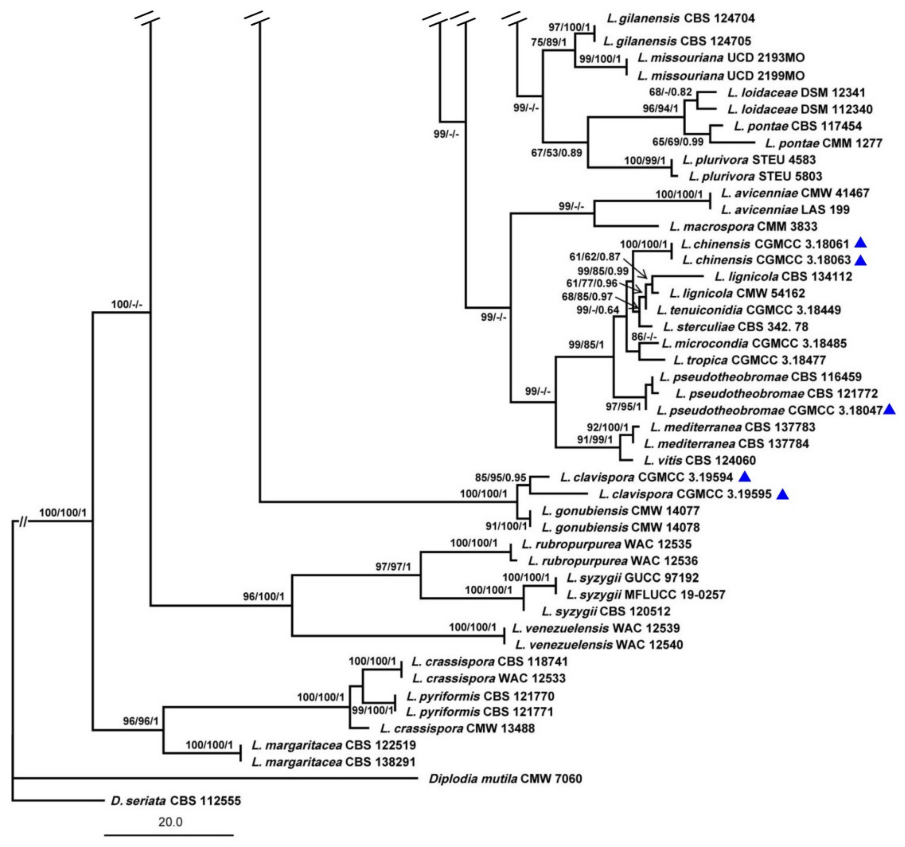 Biology 11 01459 g001c