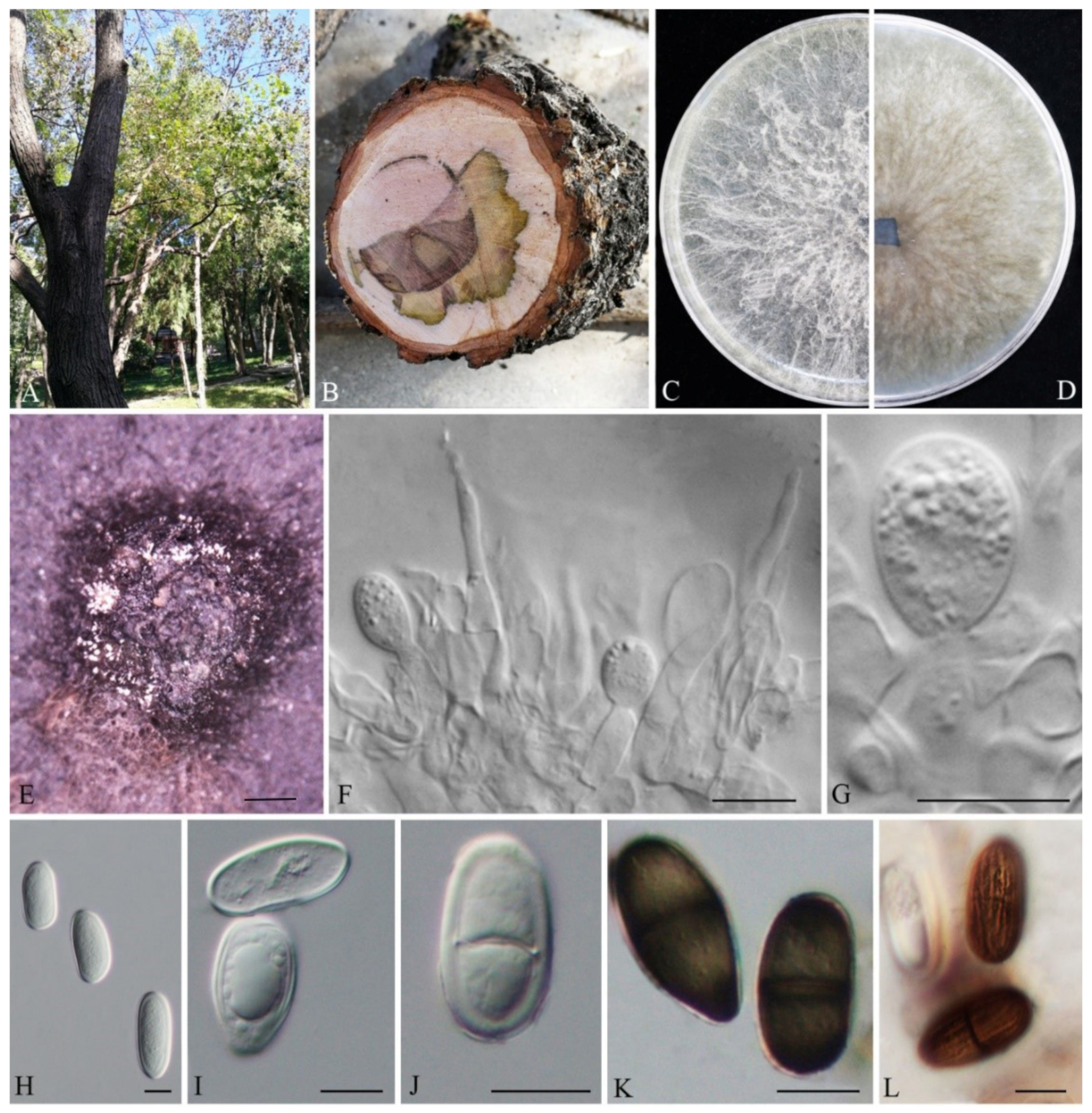 Biology 11 01459 g002