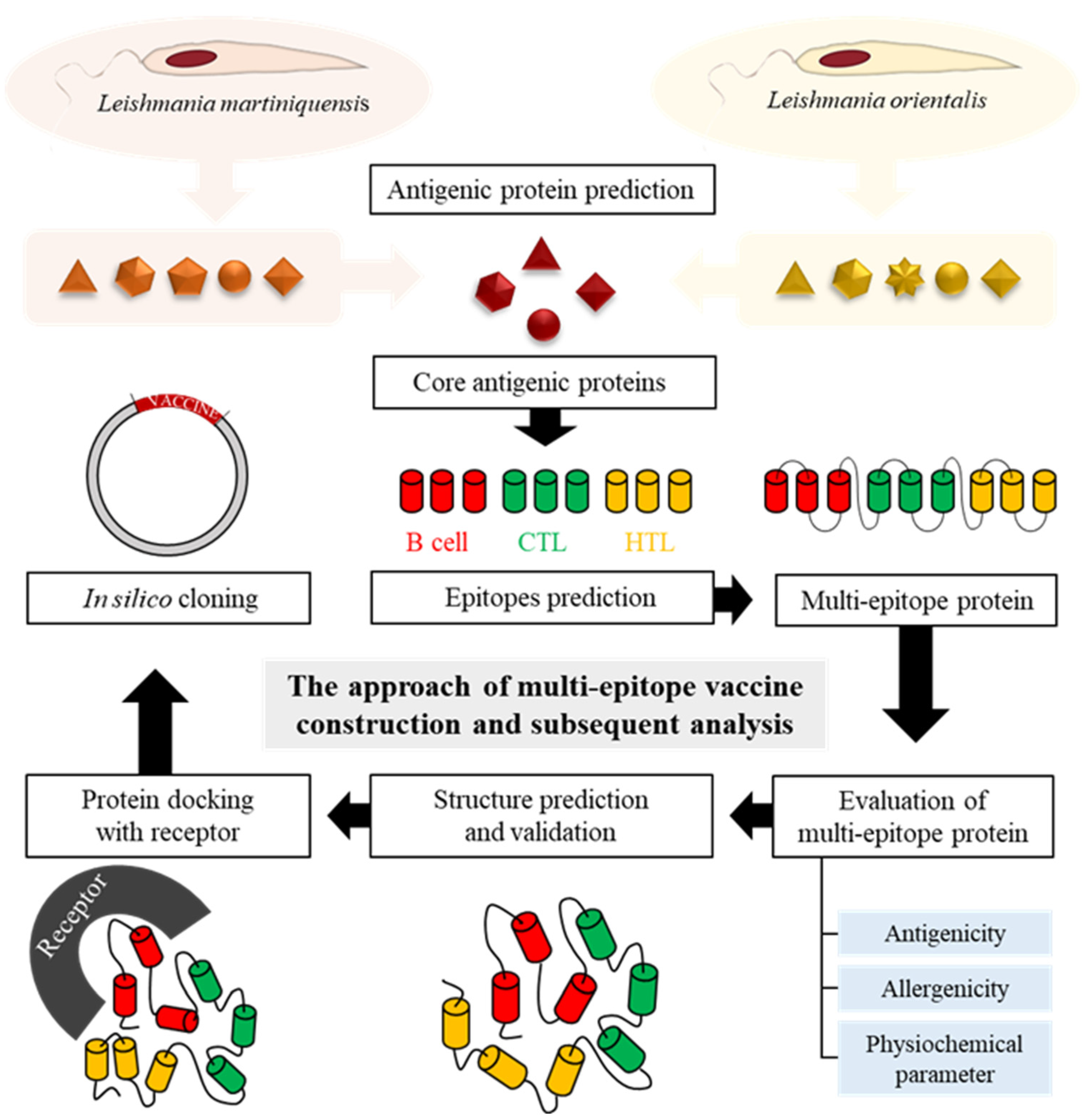 Biology 11 01460 g001