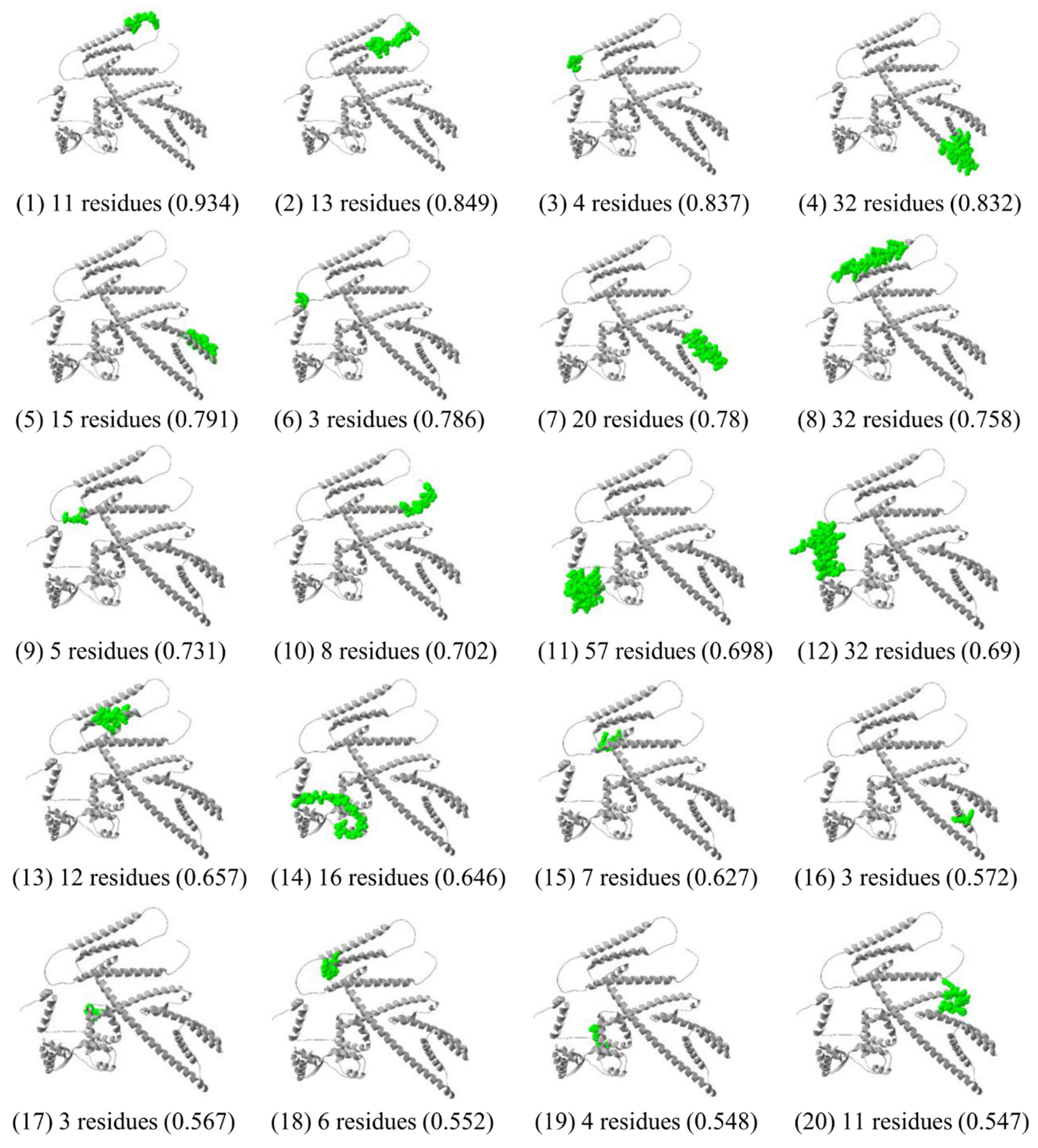 Biology 11 01460 g007