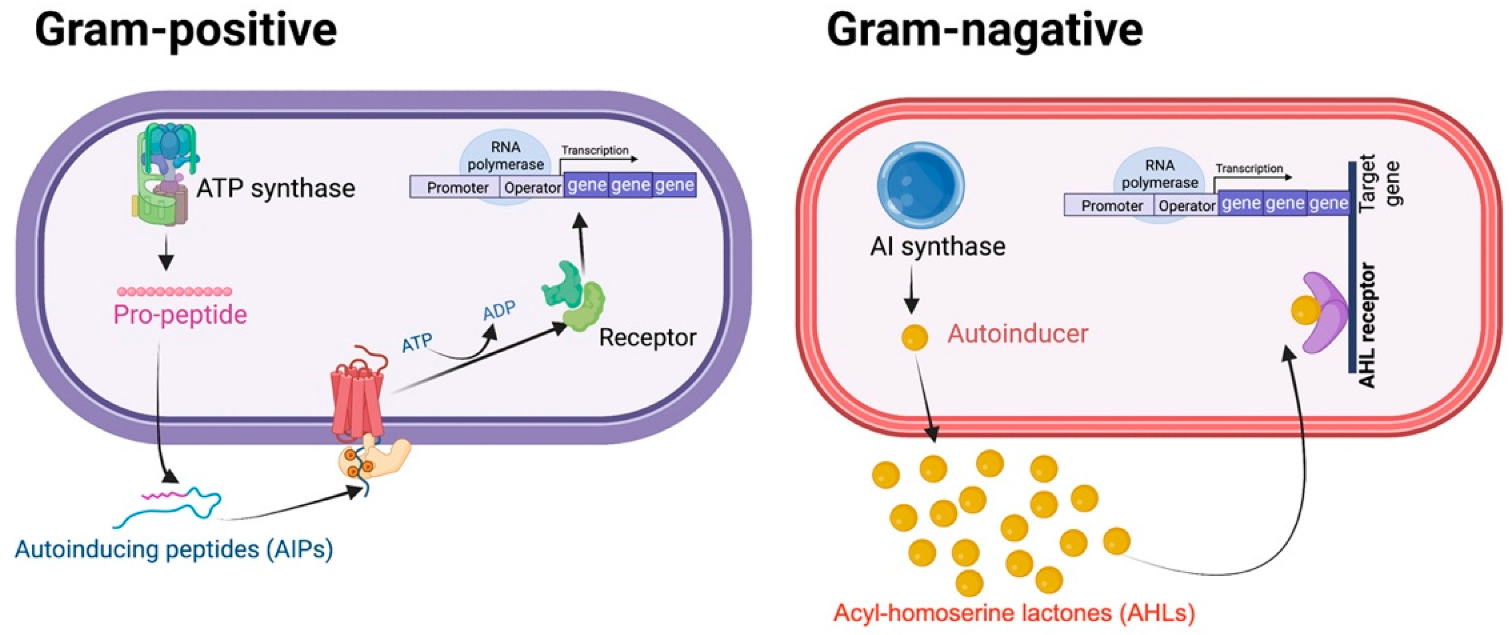 Biology 11 01466 g001