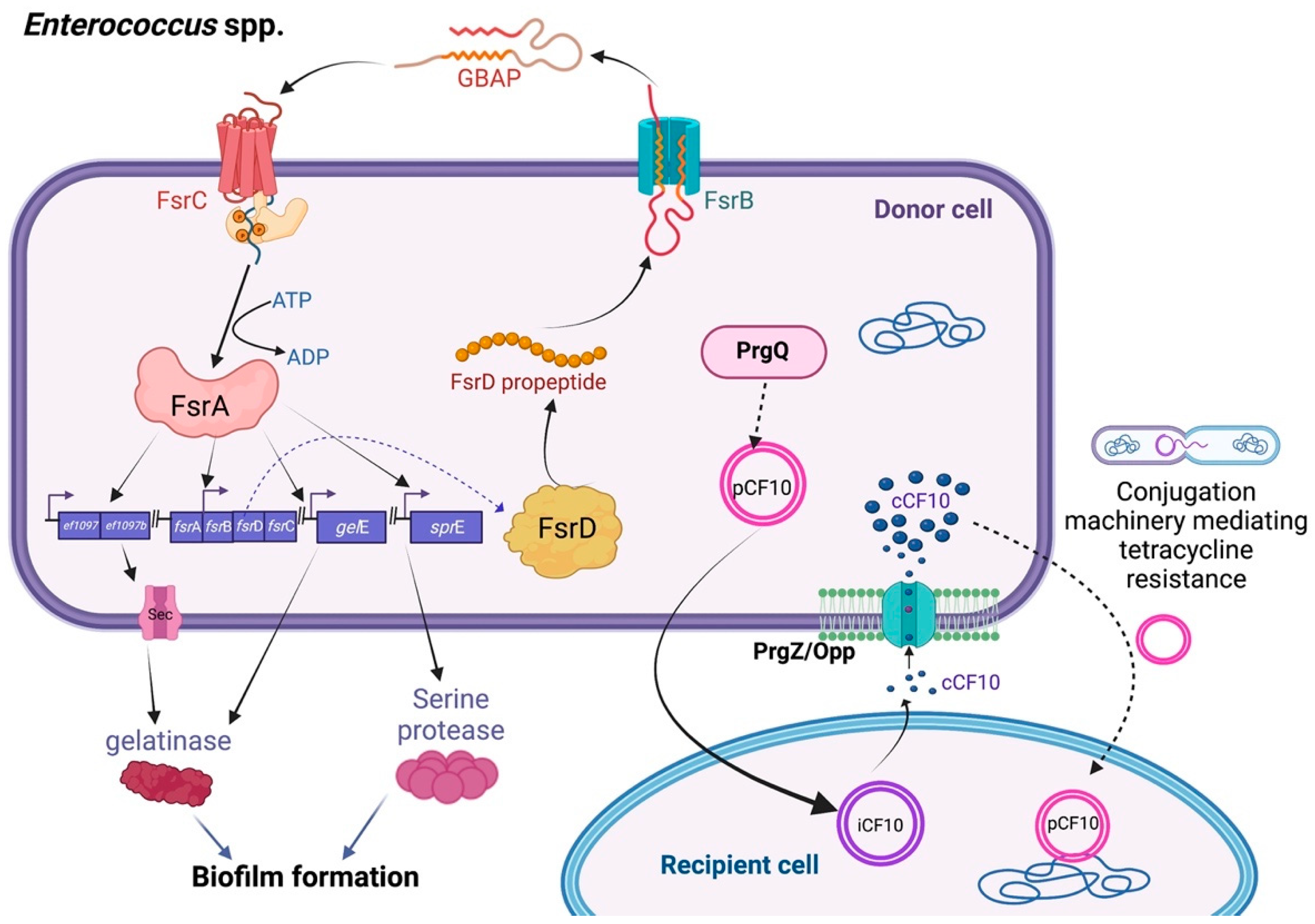 Biology 11 01466 g002