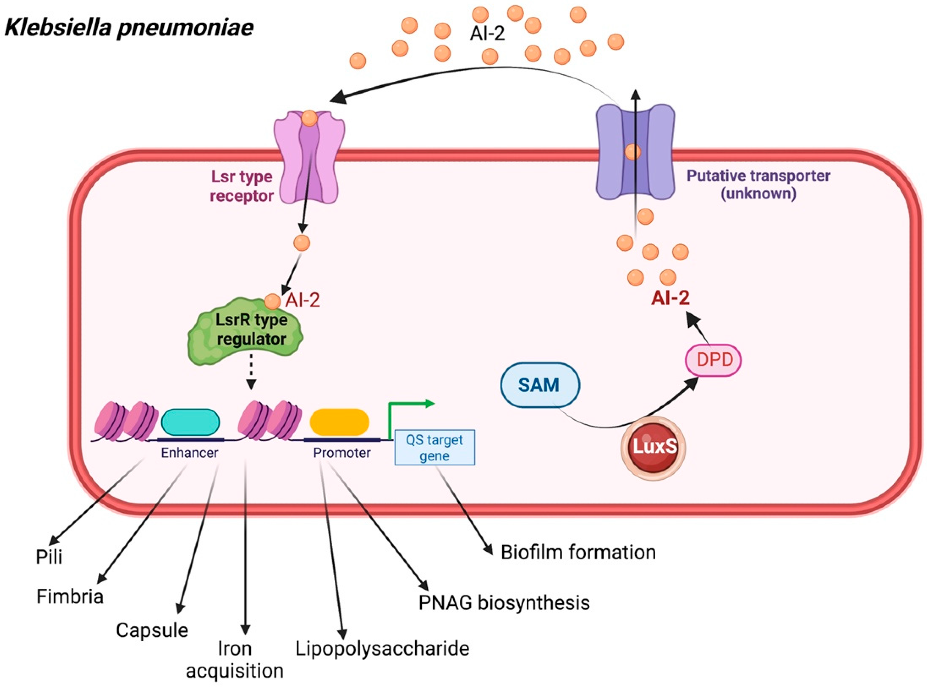 Biology 11 01466 g004