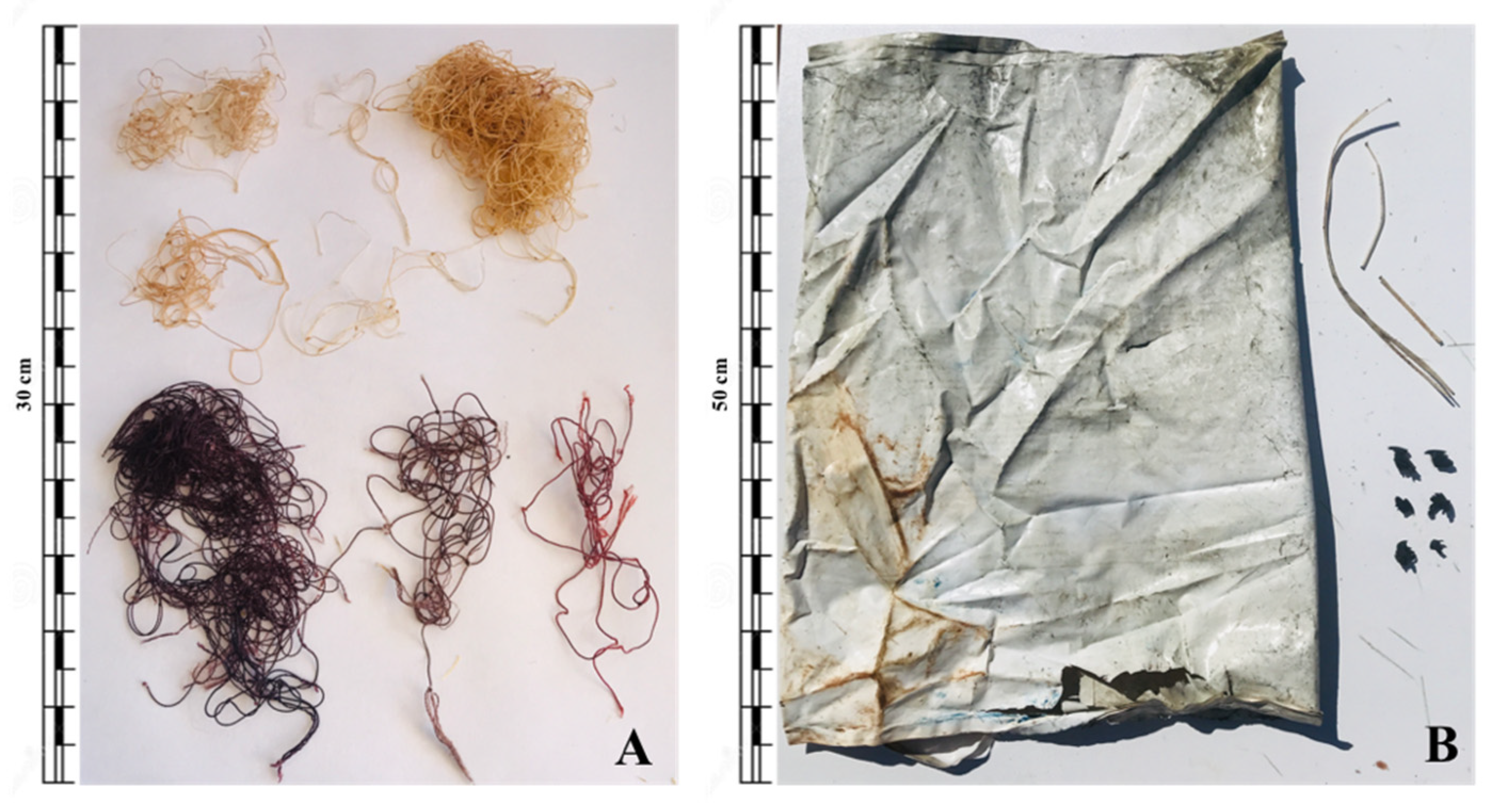 Biology 11 01468 g002