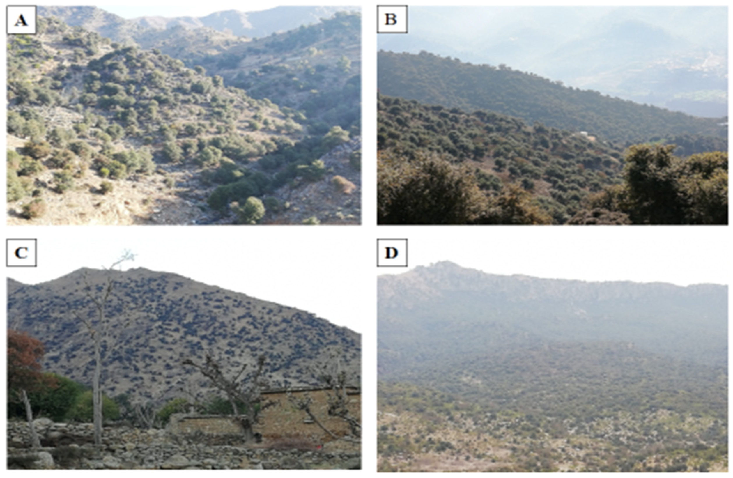 Biology 11 01469 g003