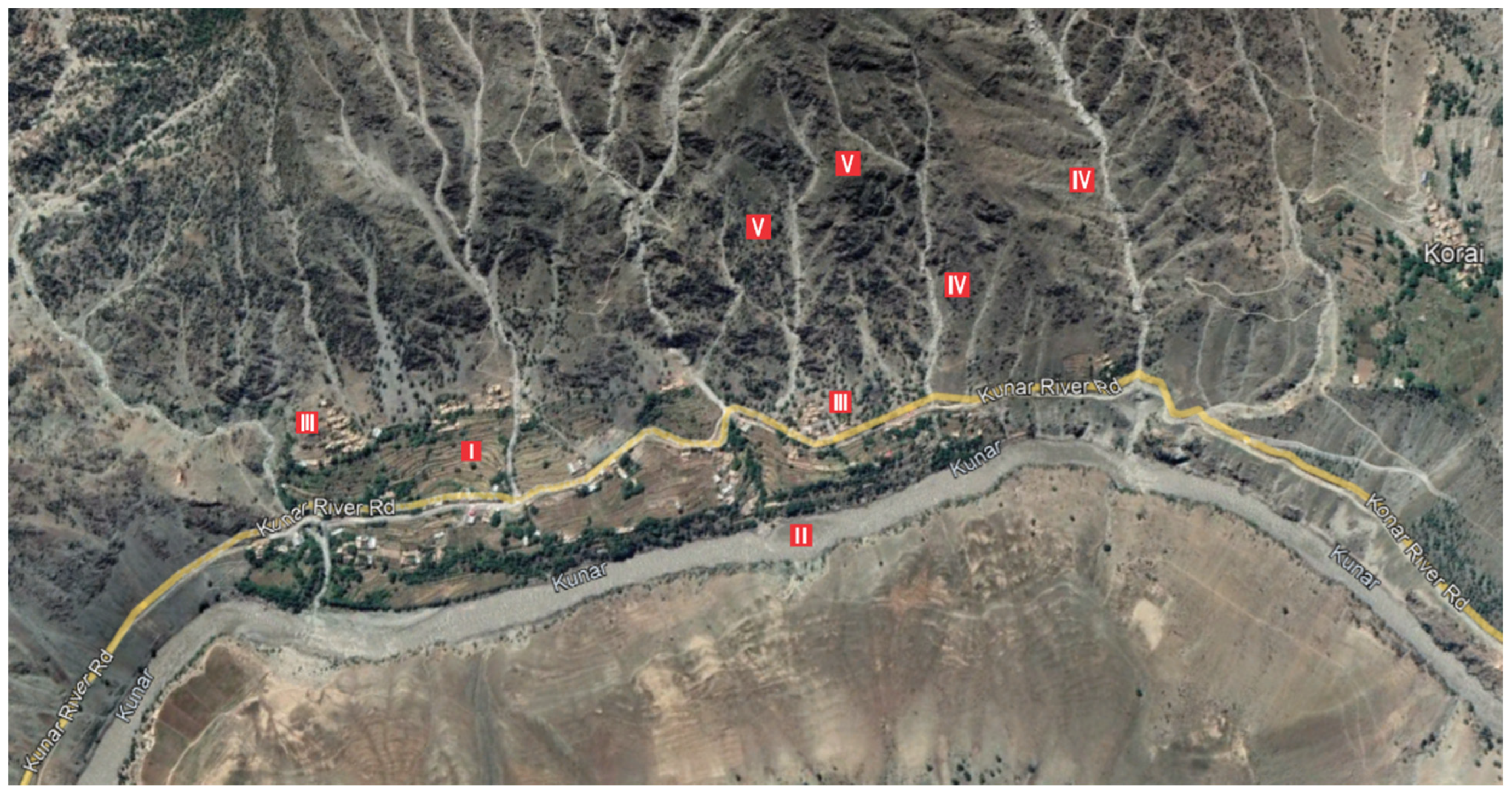 Biology 11 01469 g004