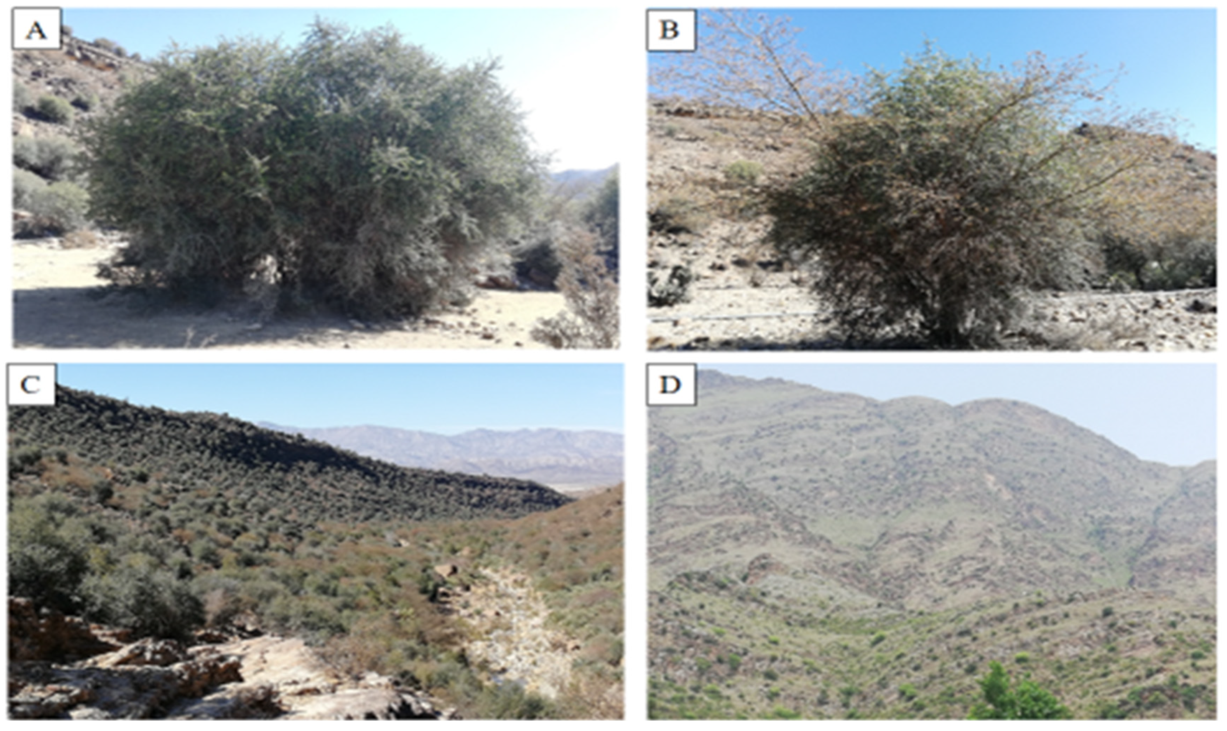 Biology 11 01469 g005