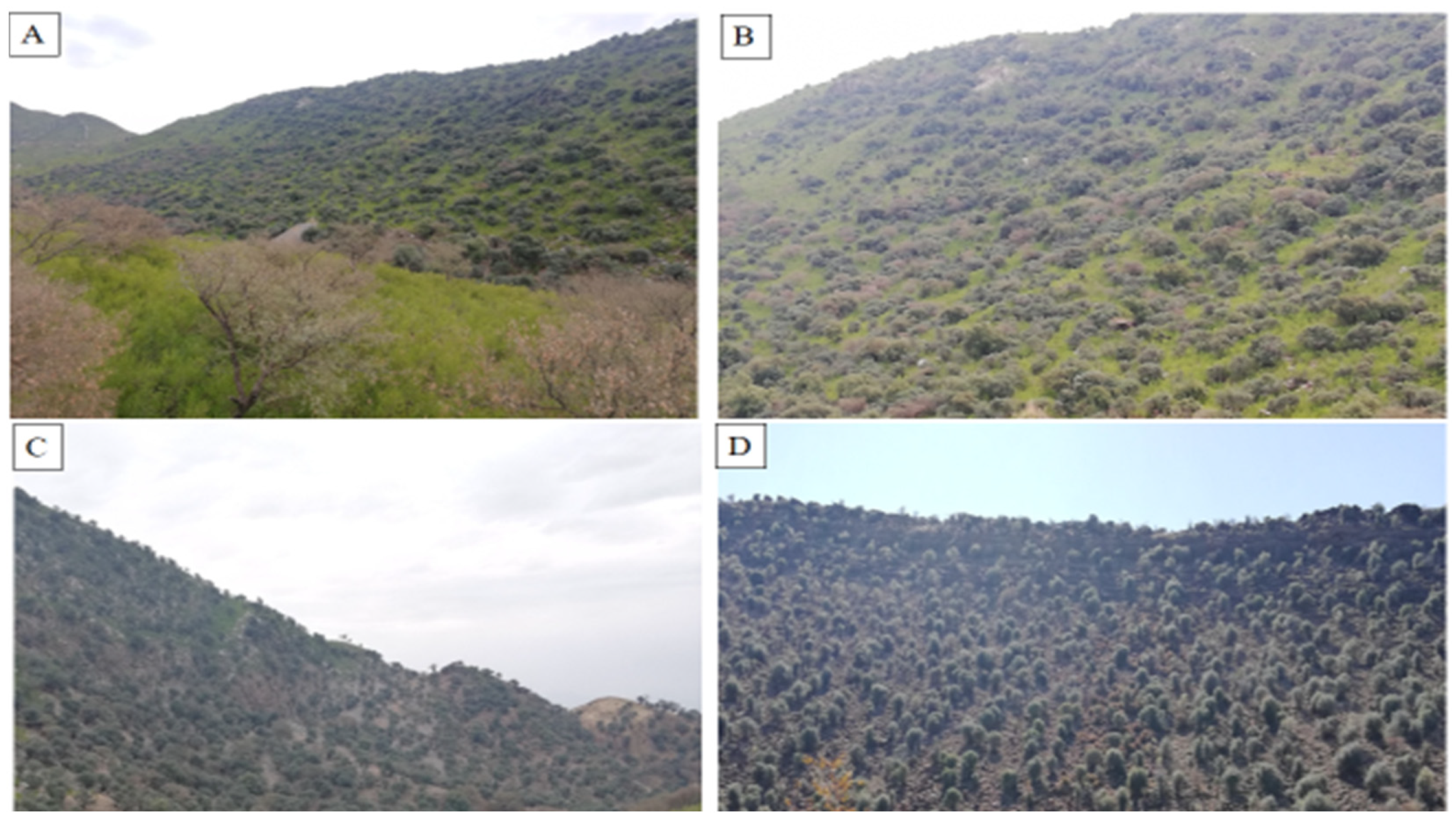 Biology 11 01469 g006