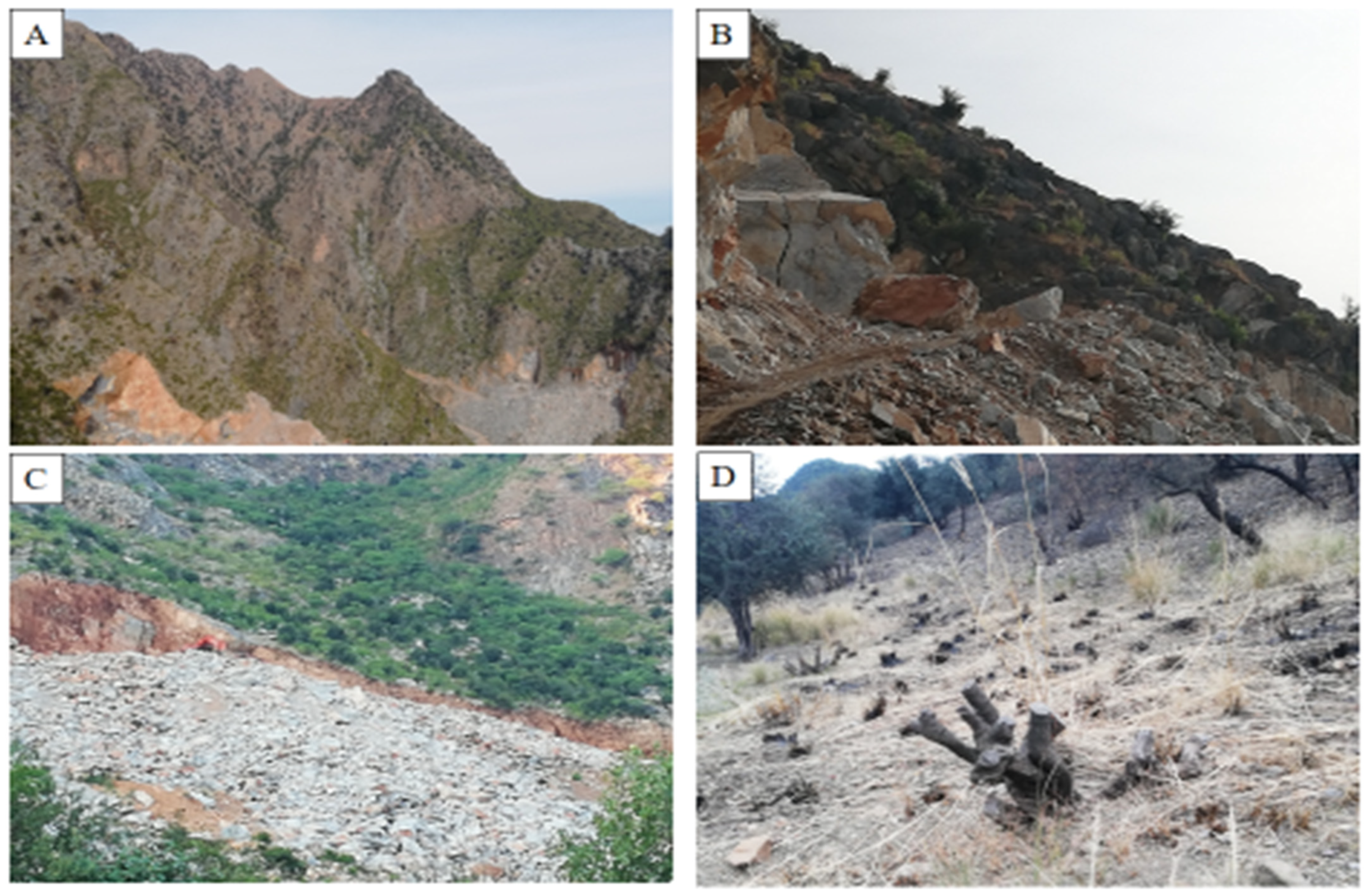 Biology 11 01469 g007