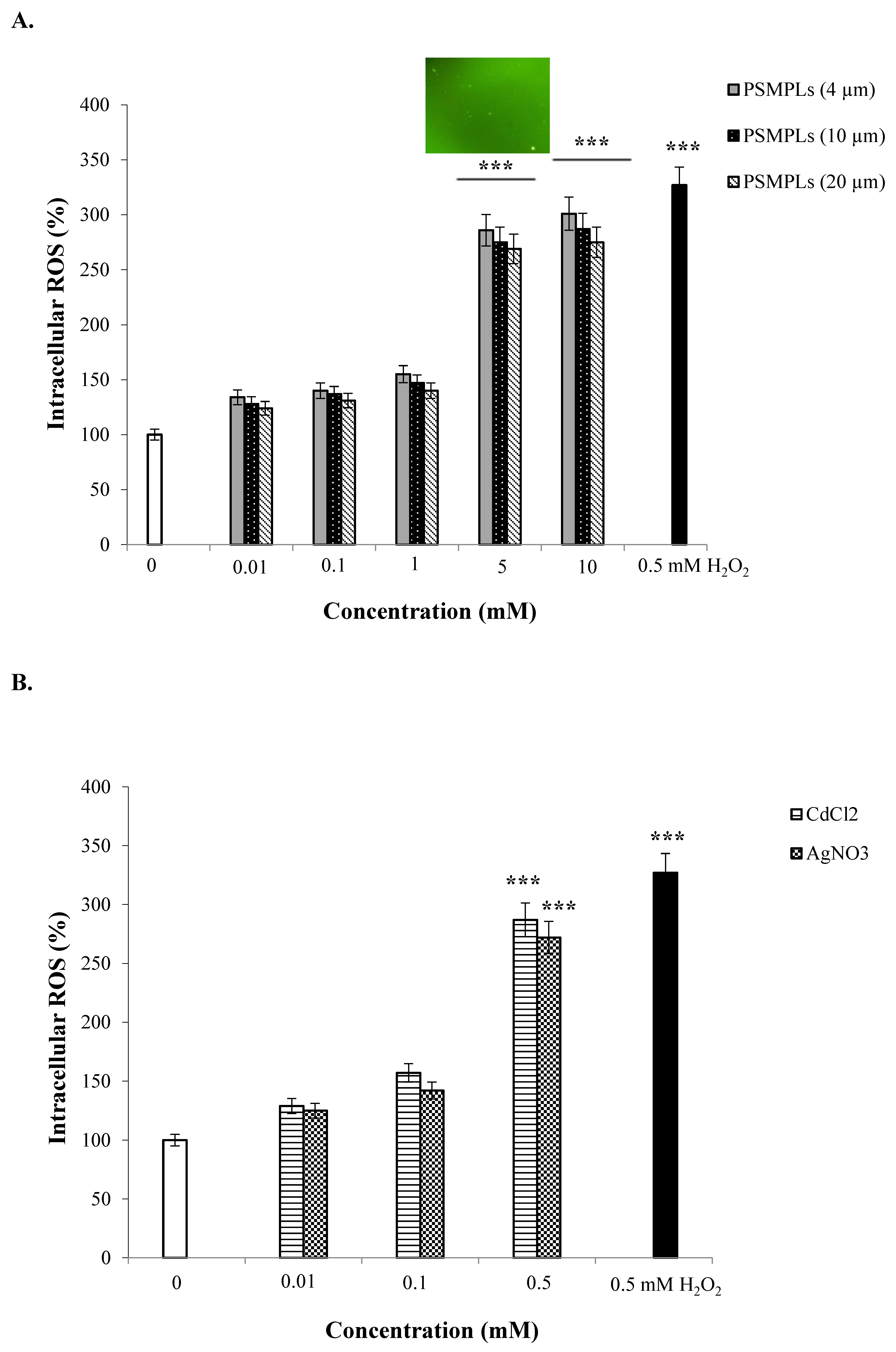 Biology 11 01470 g004a
