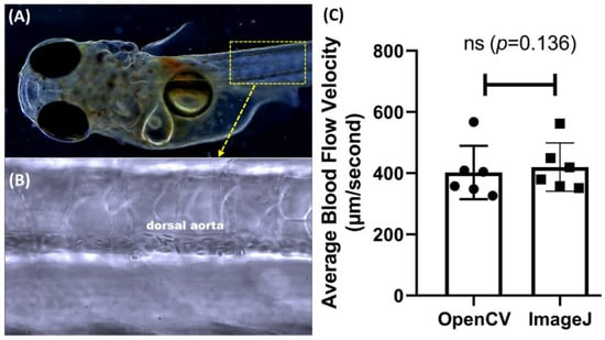 Biology 11 01471 g0a2