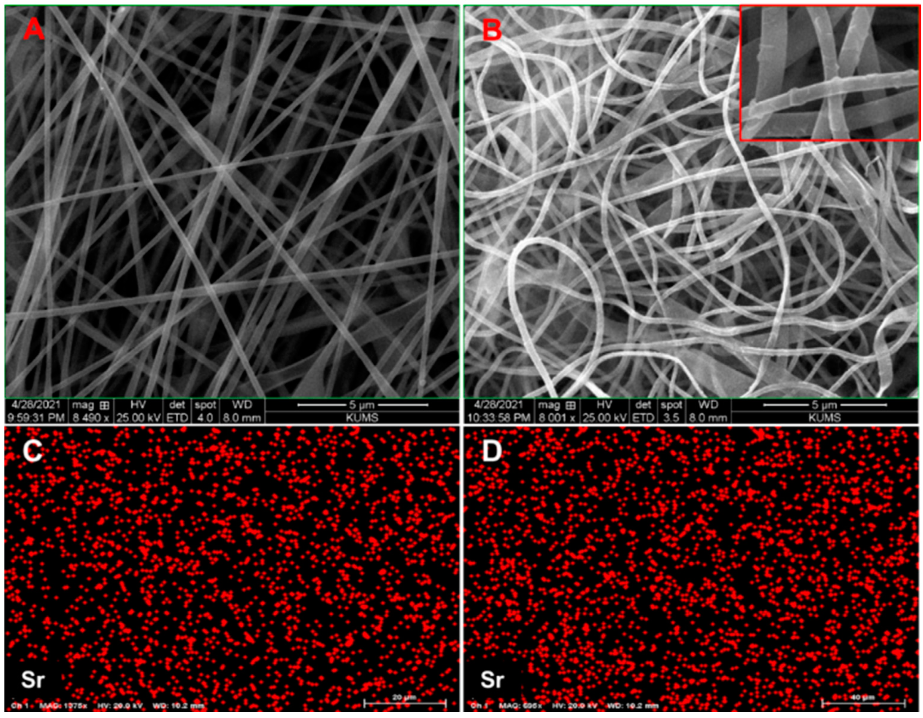 Biology 11 01472 g001