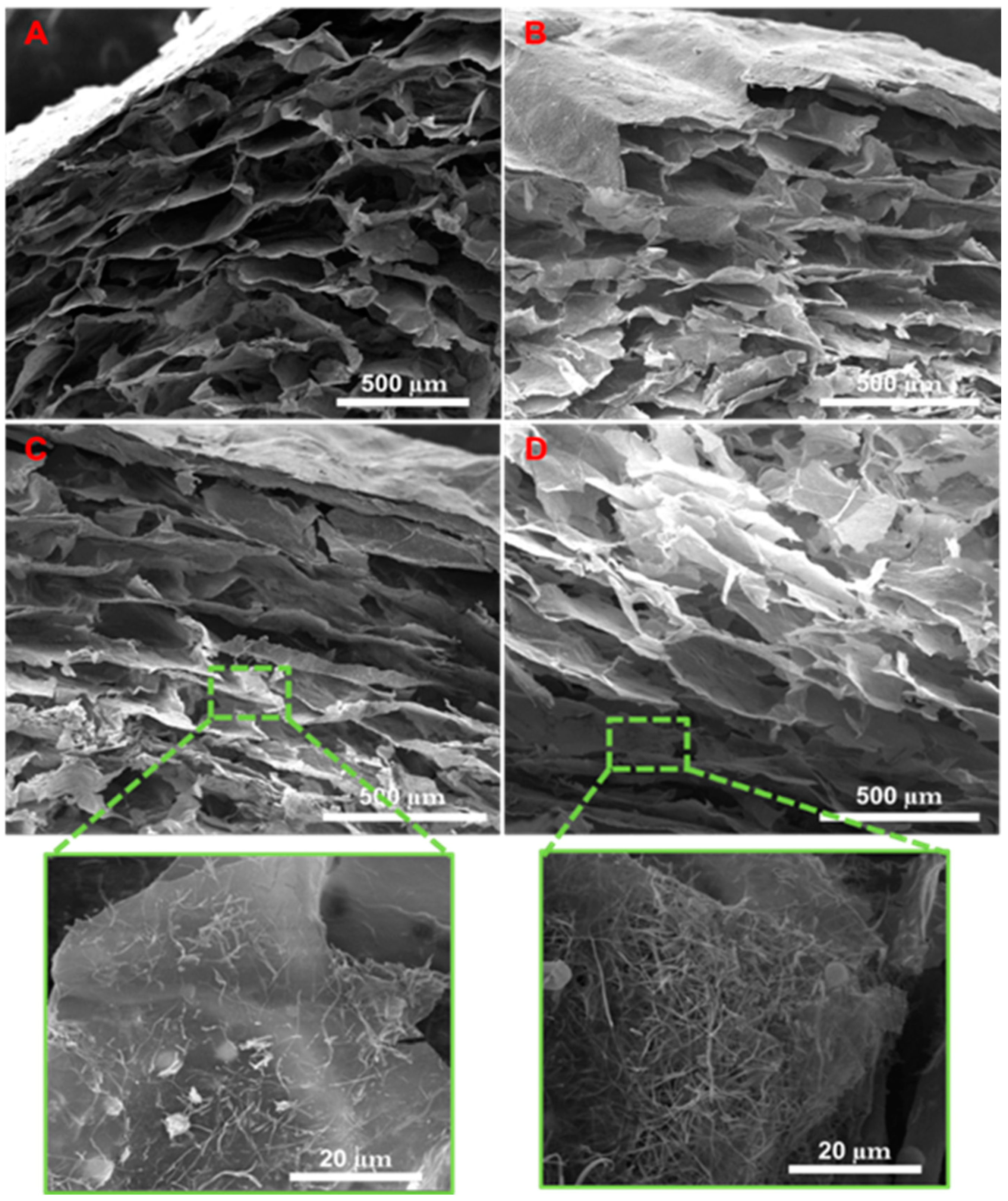 Biology 11 01472 g002