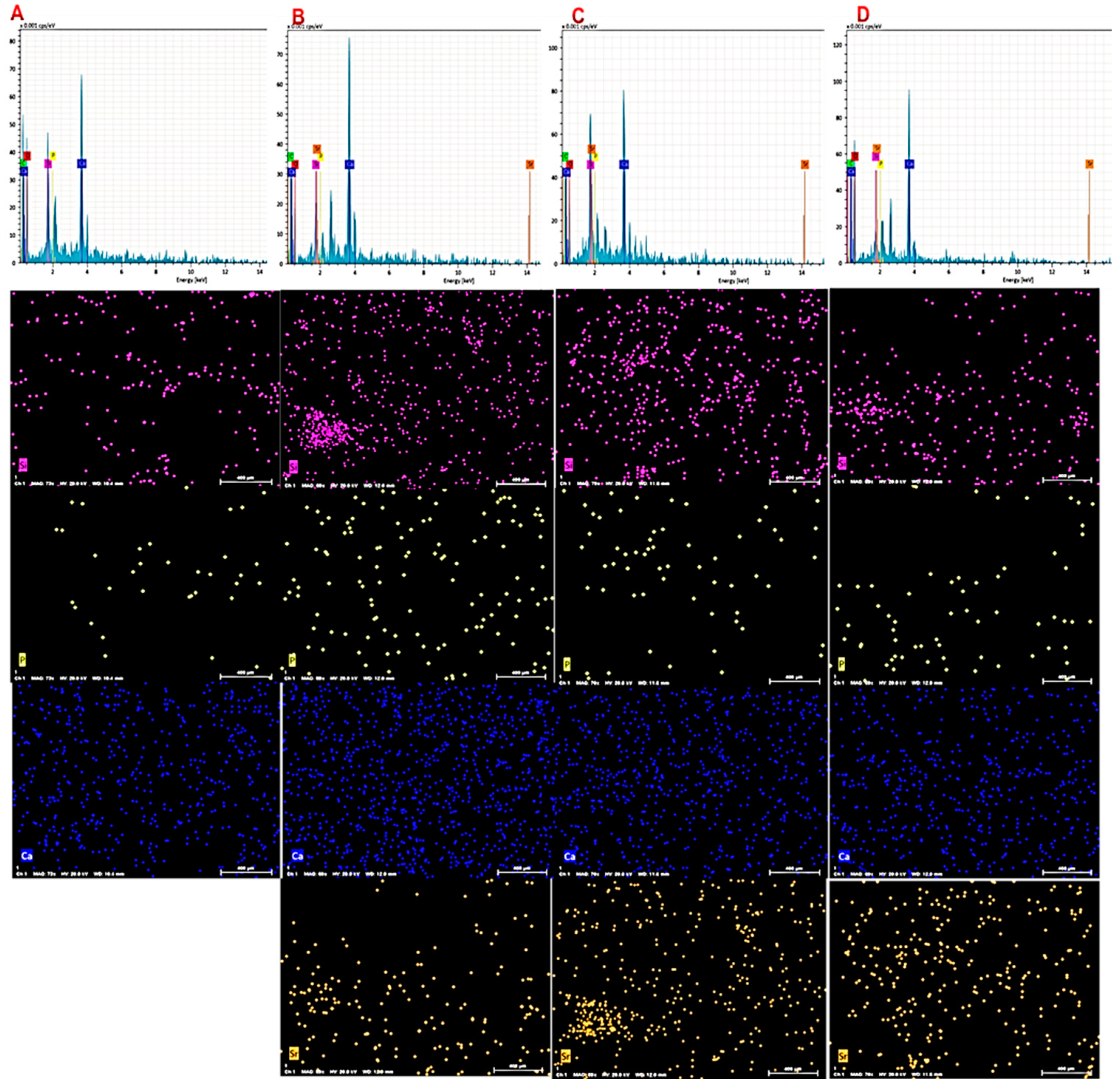 Biology 11 01472 g003