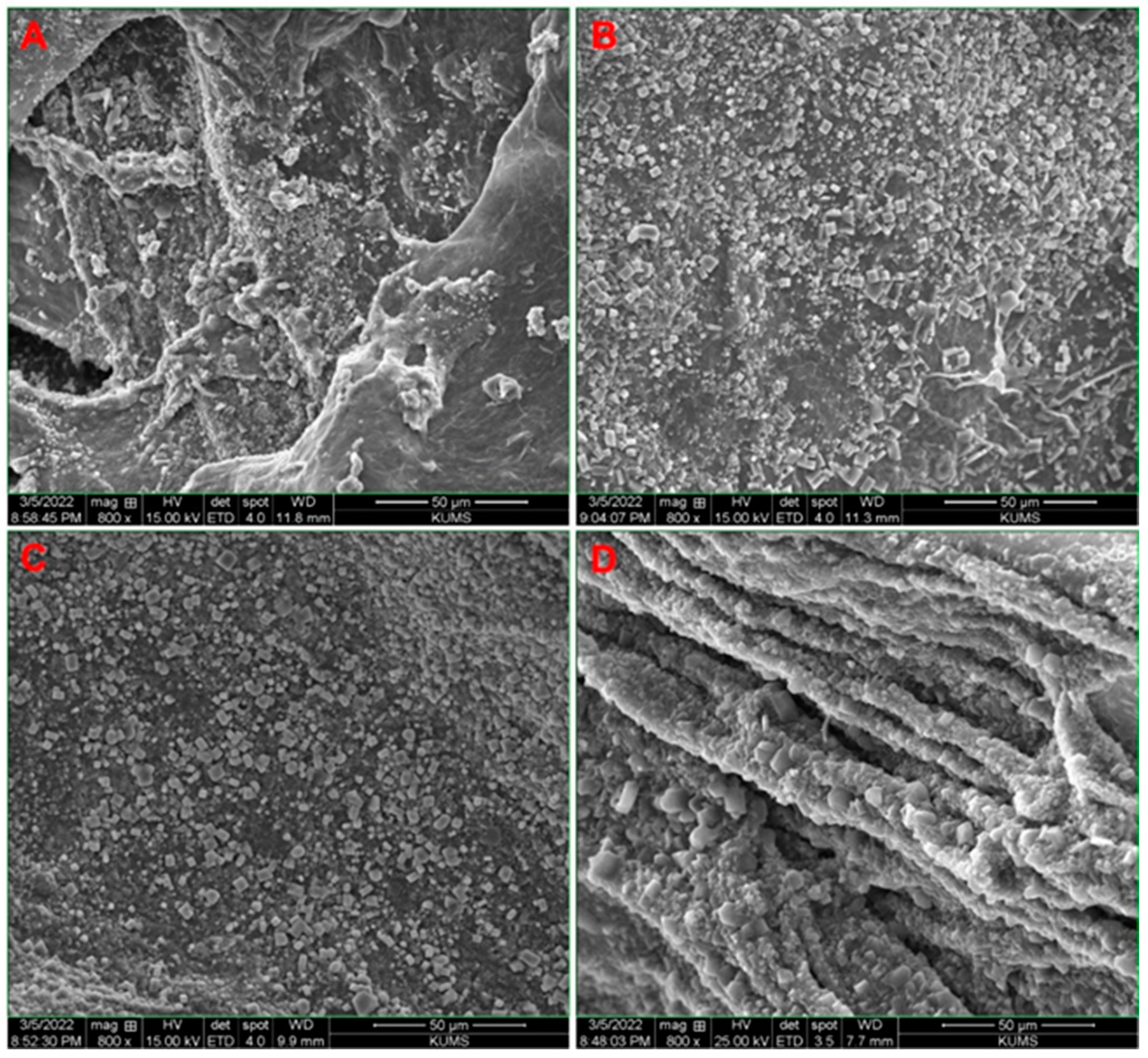 Biology 11 01472 g008