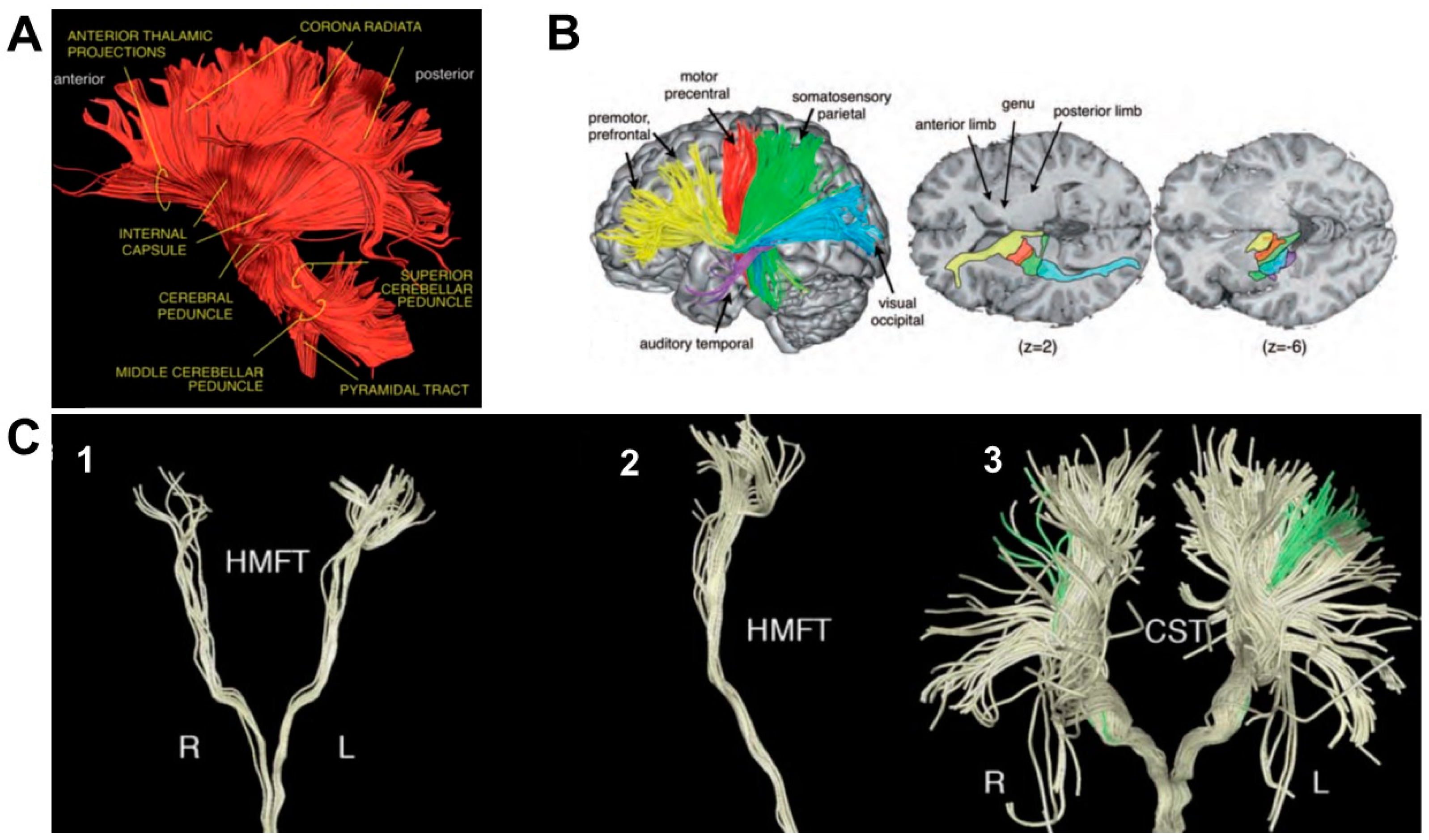 Biology 11 01482 g001