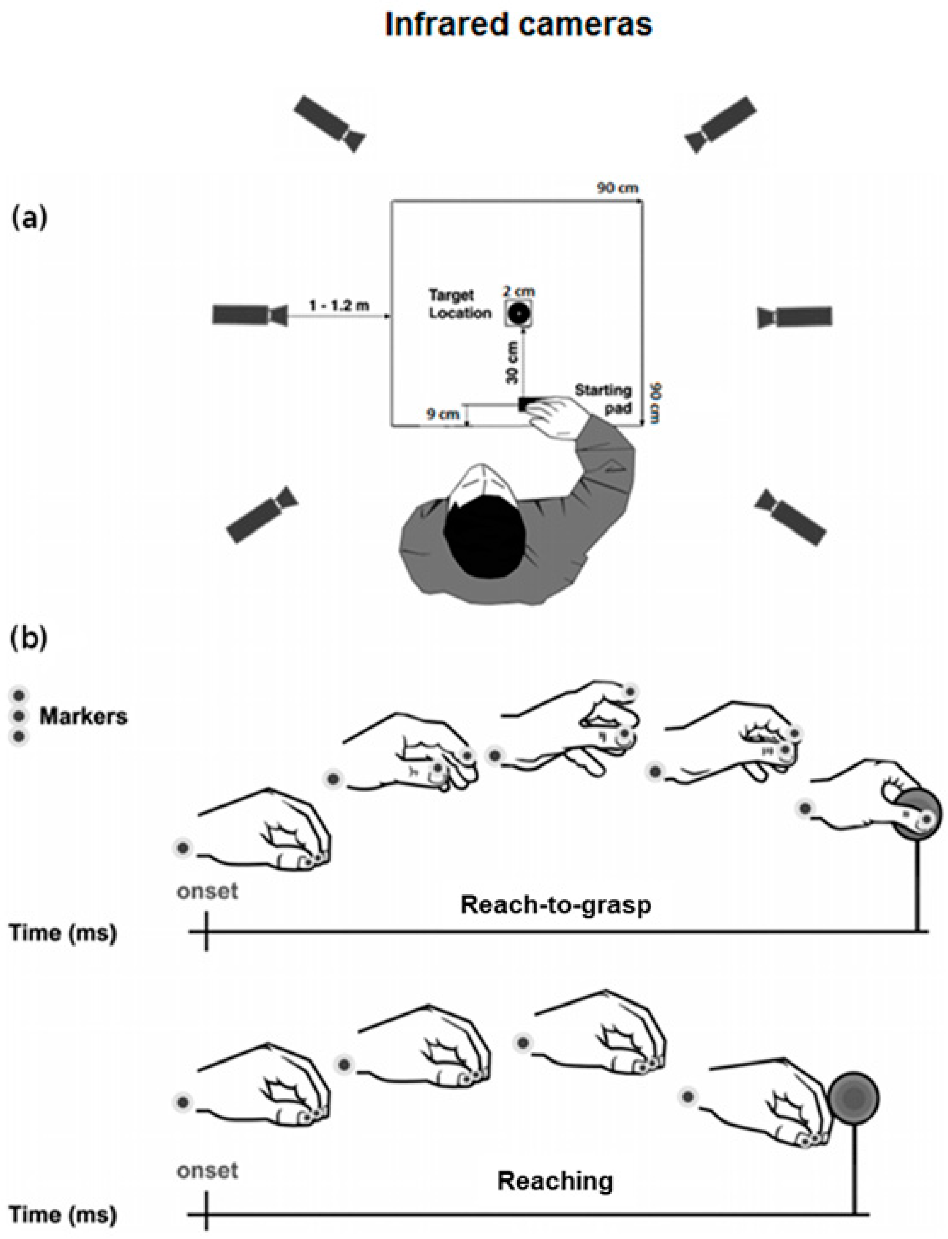 Biology 11 01482 g002