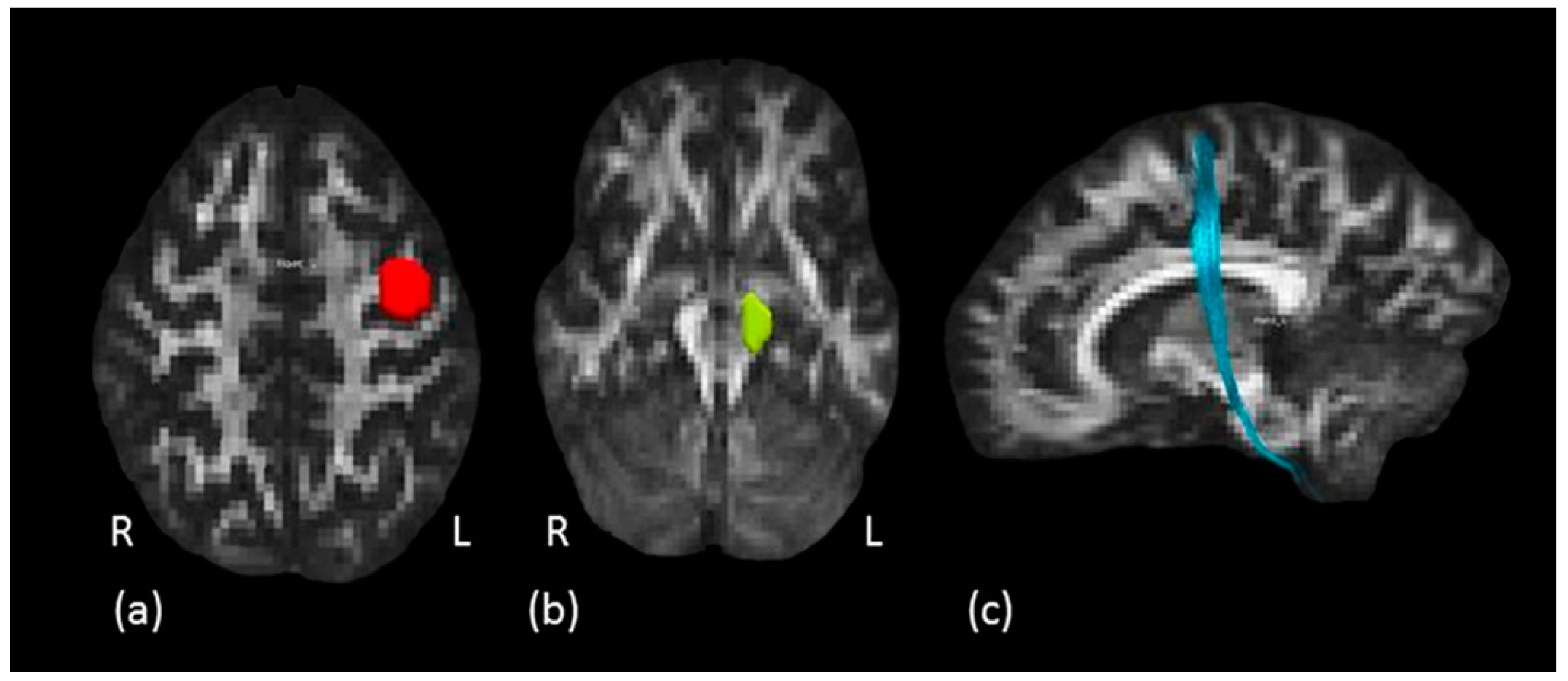 Biology 11 01482 g004