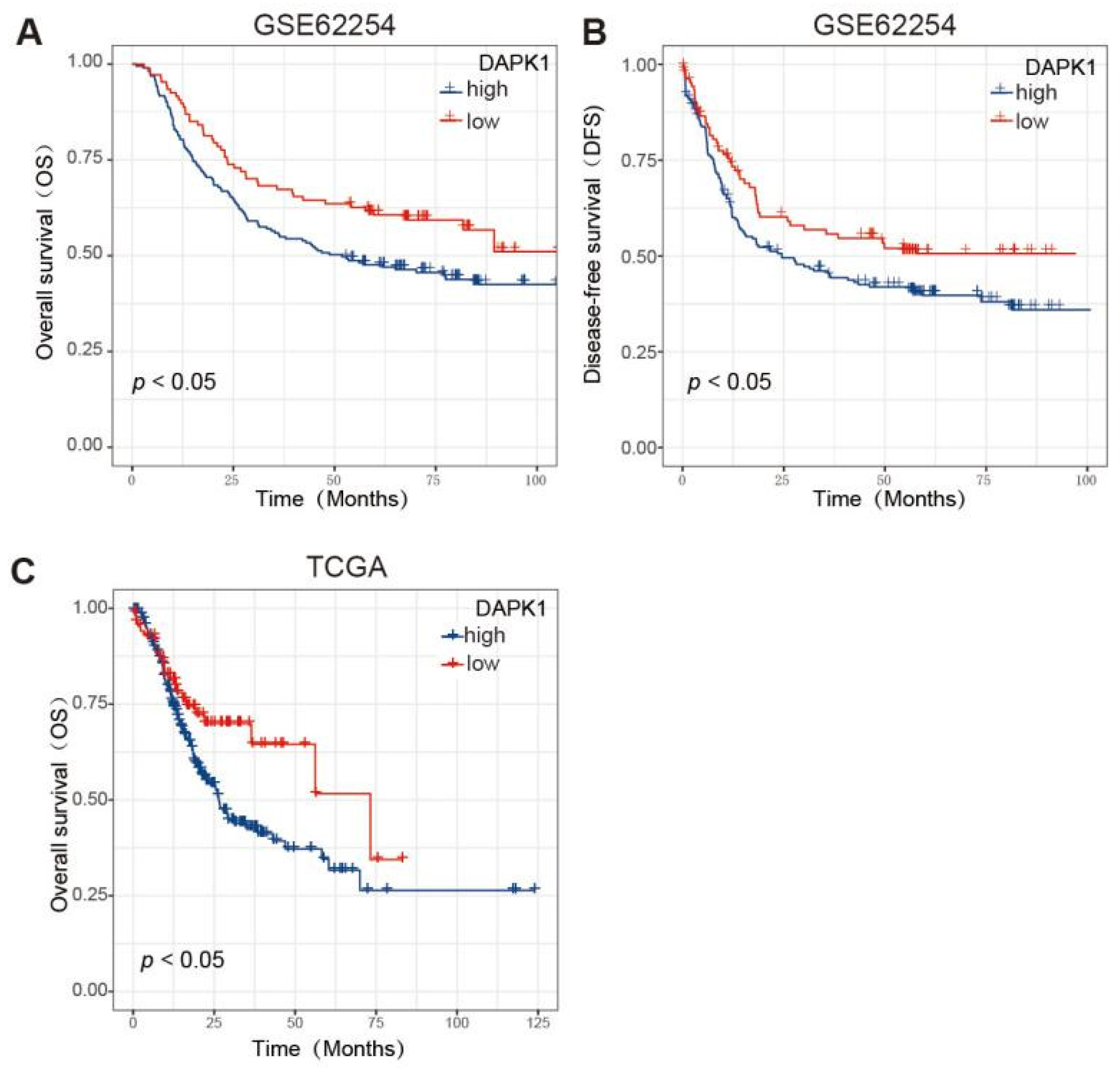 Biology 11 01488 g002
